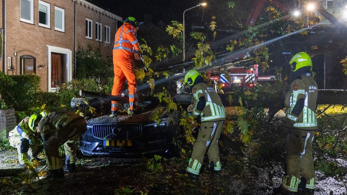 Storm Boelo Causes Damage and Disruptions Across the Netherlands