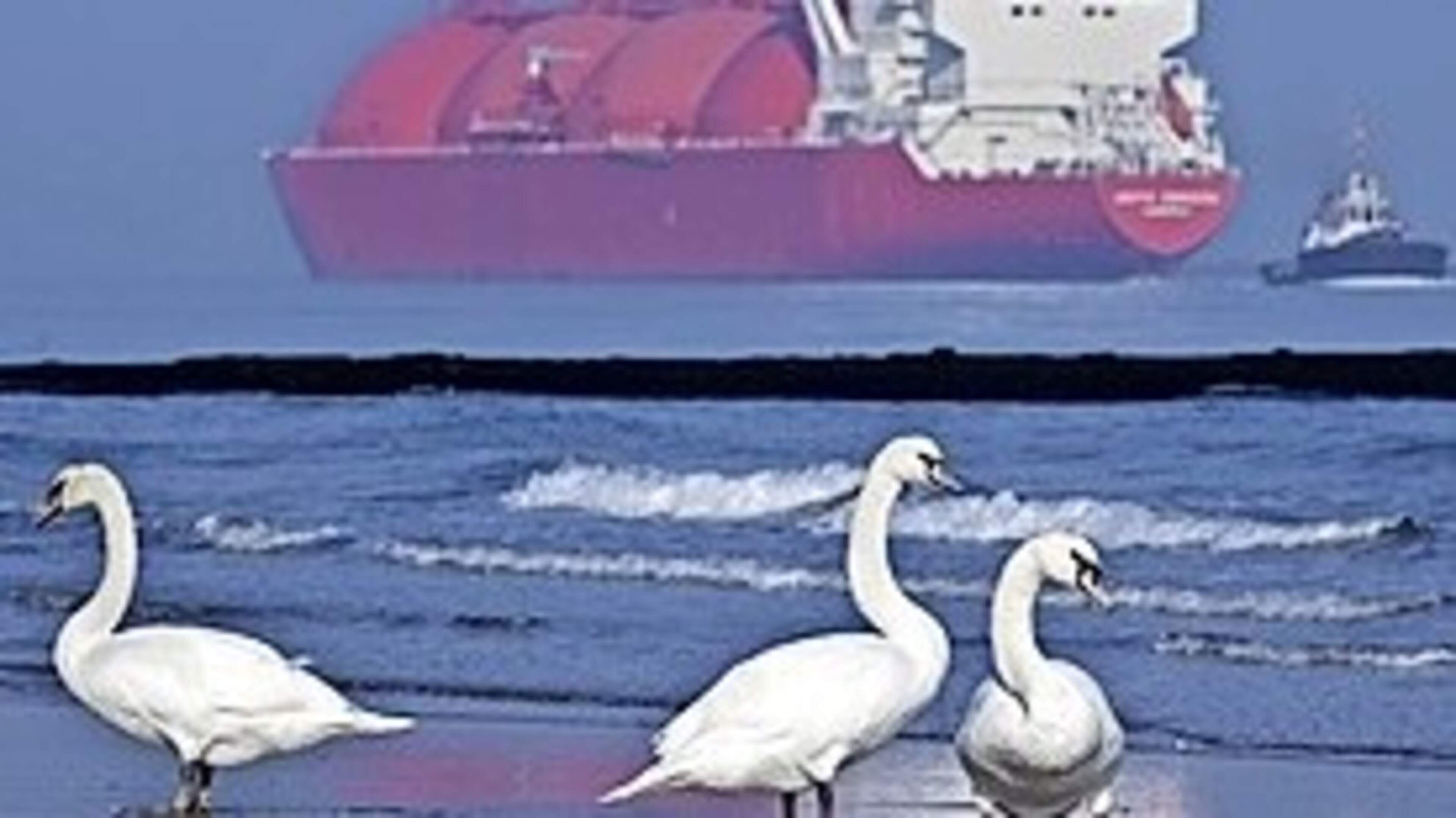 ’Nederland importeert nog steeds forse gas uit Rusland’