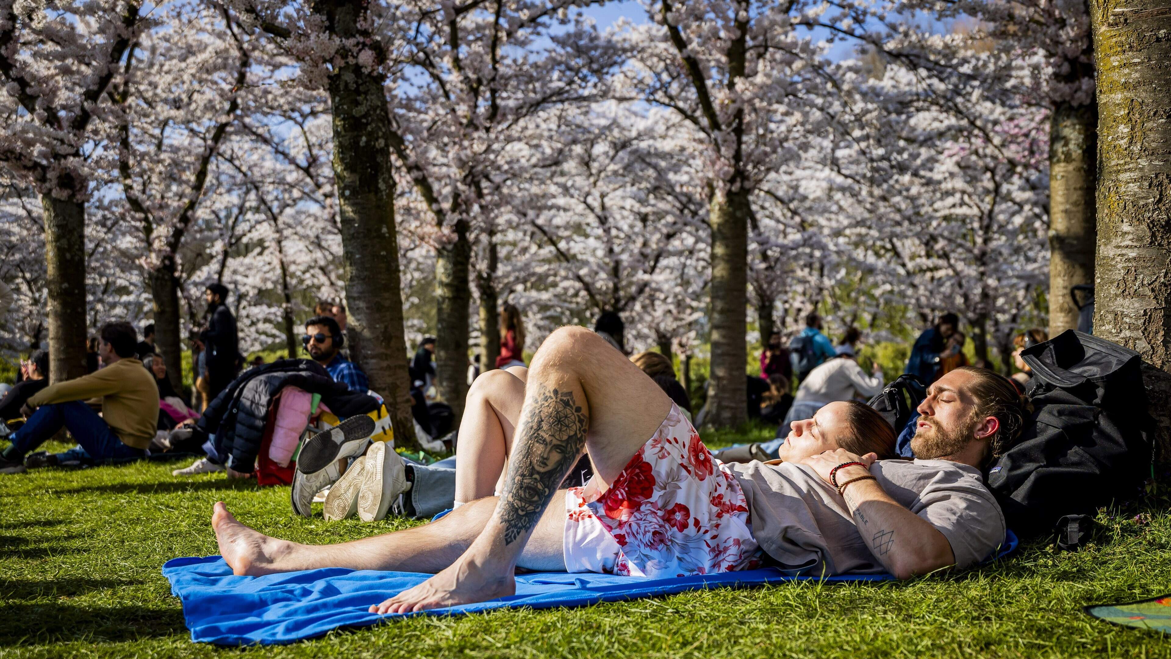 Zachte start meivakantie: temperaturen tot 20 graden, maar omslag naar kou en buien op komst rond Koningsdag
