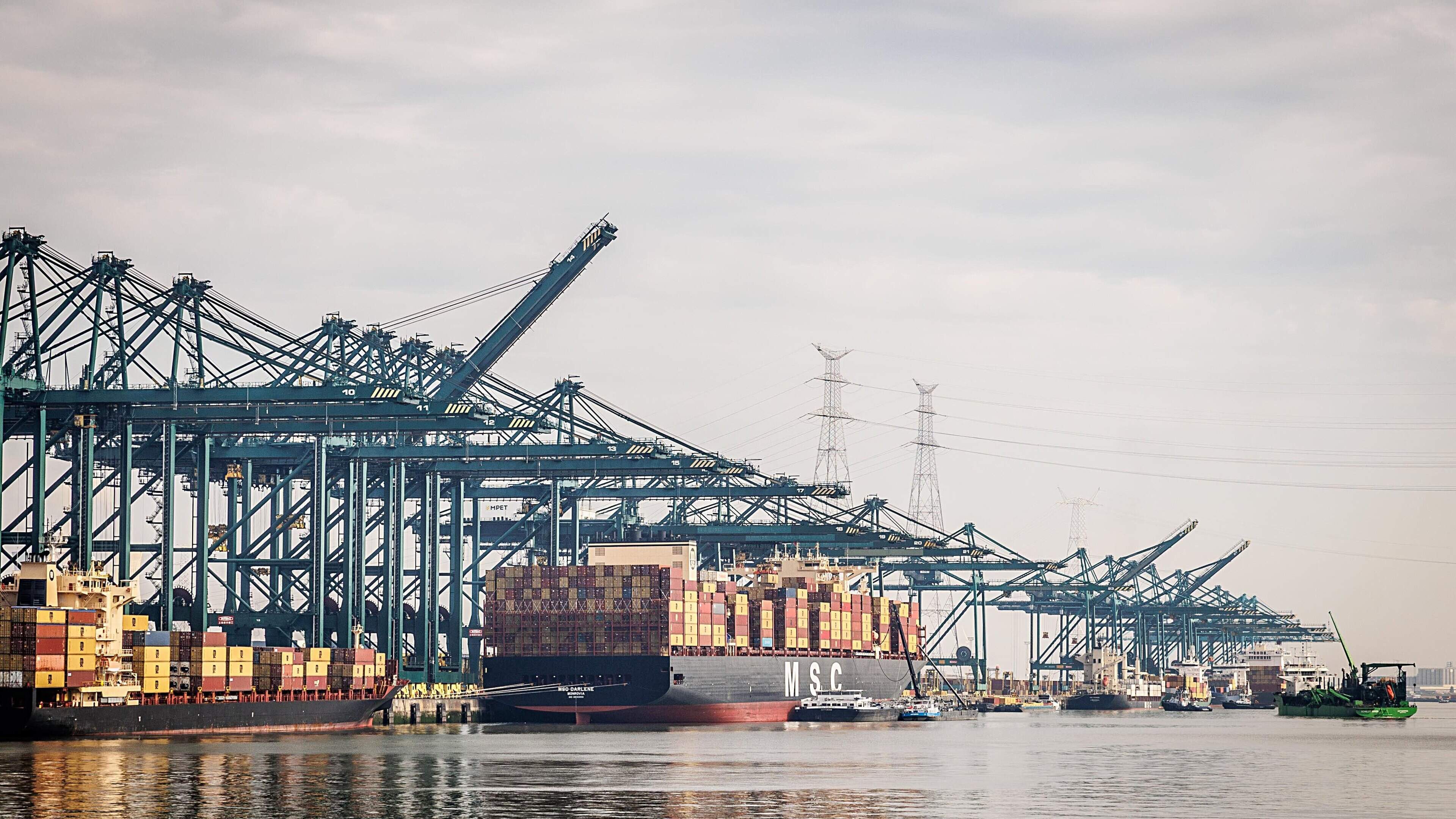 Nederlander nieuwe topman havenbedrijf Antwerpen-Brugge