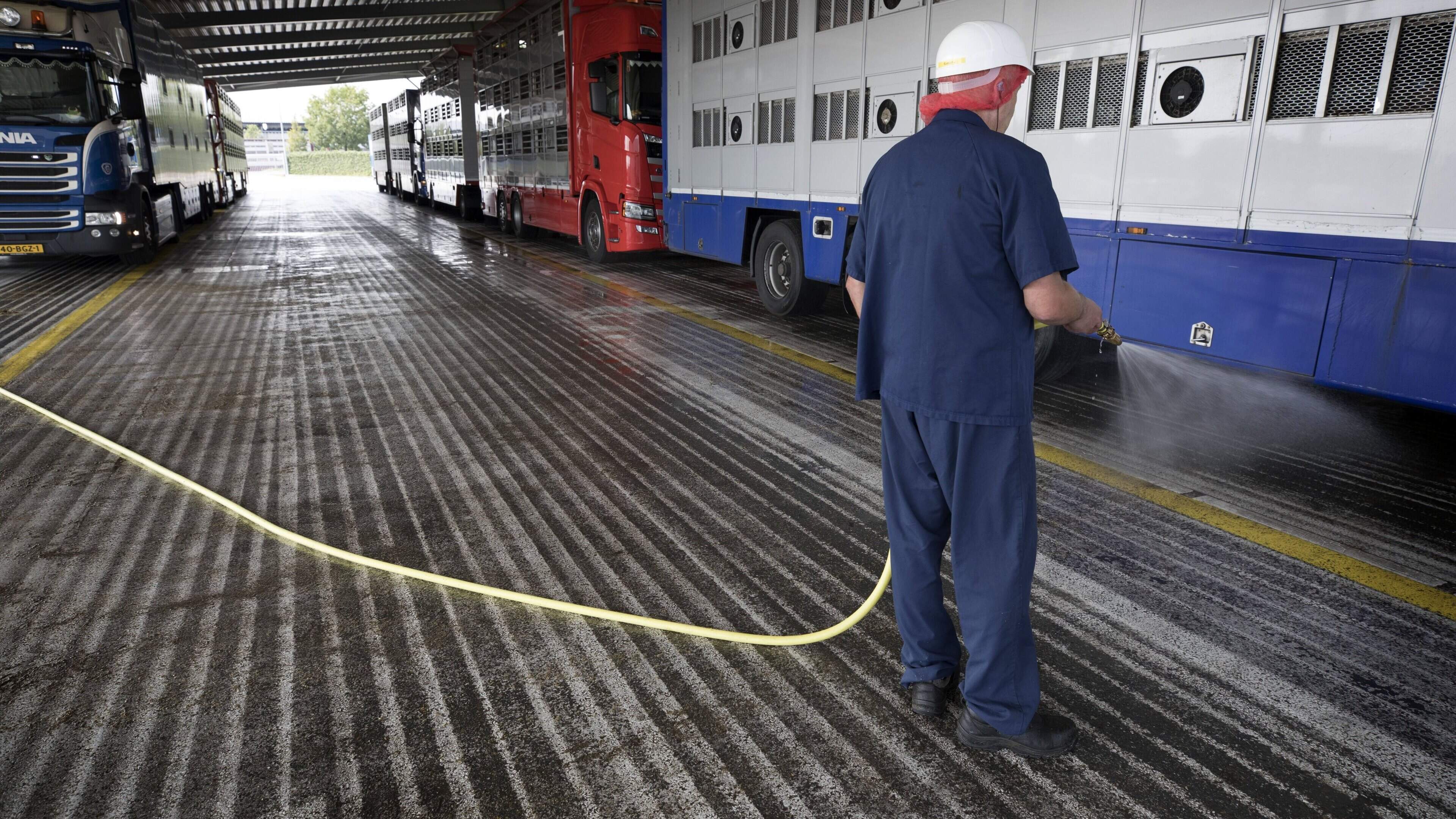 Vleesverwerker Vion verkoopt twee Duitse slachterijen