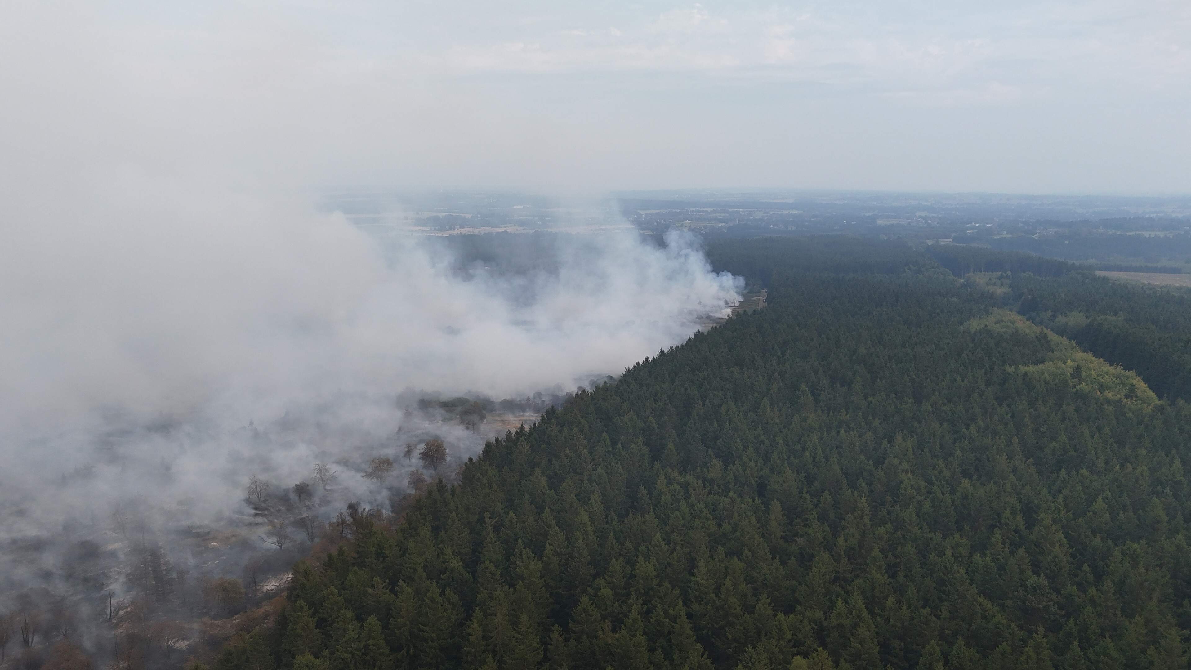 LIVE | Brand in België blijft uitbreiden: meer dan 2000 hectare in vlammen opgegaan en 600 mensen geëvacueerd