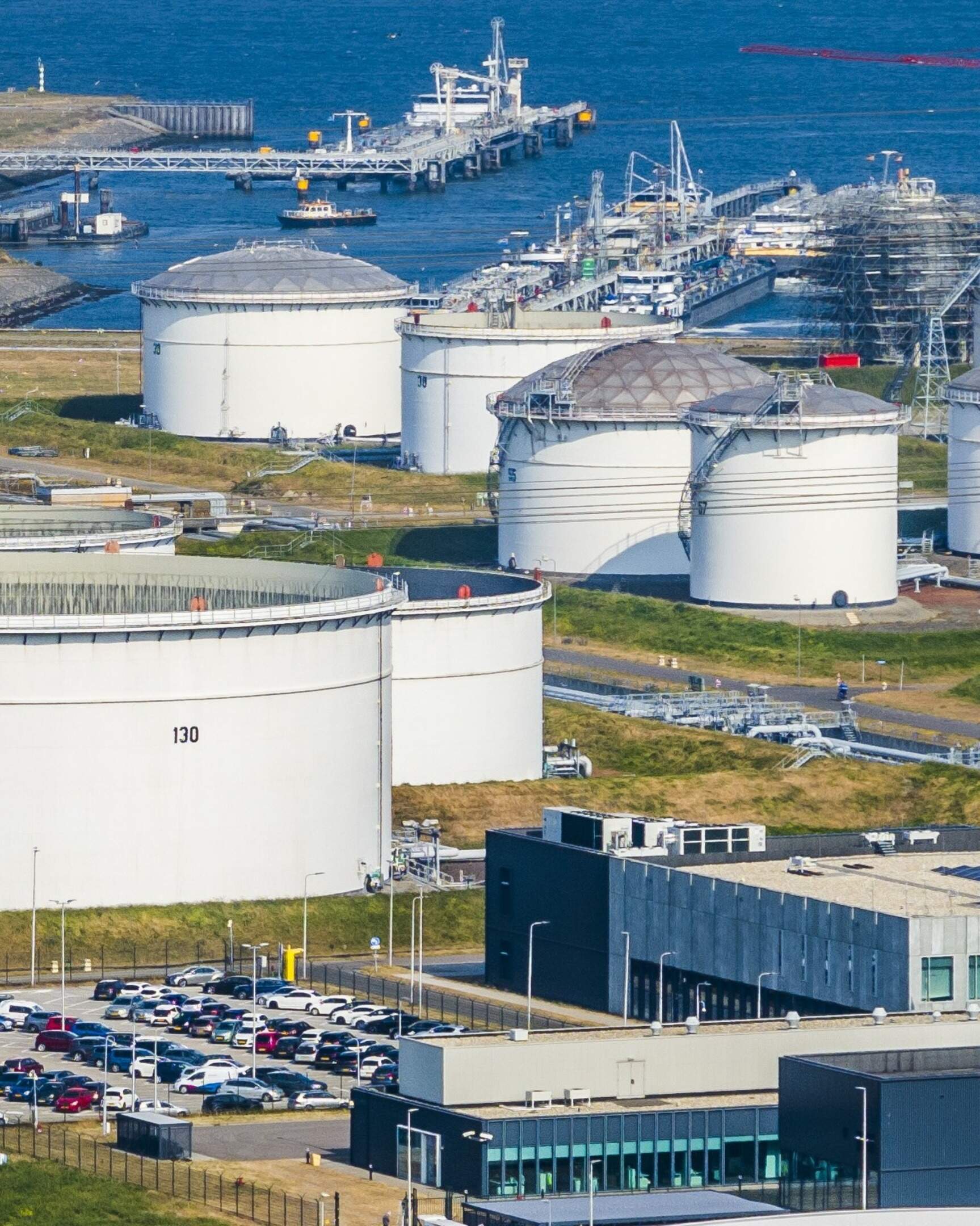 Dasani delgado videos