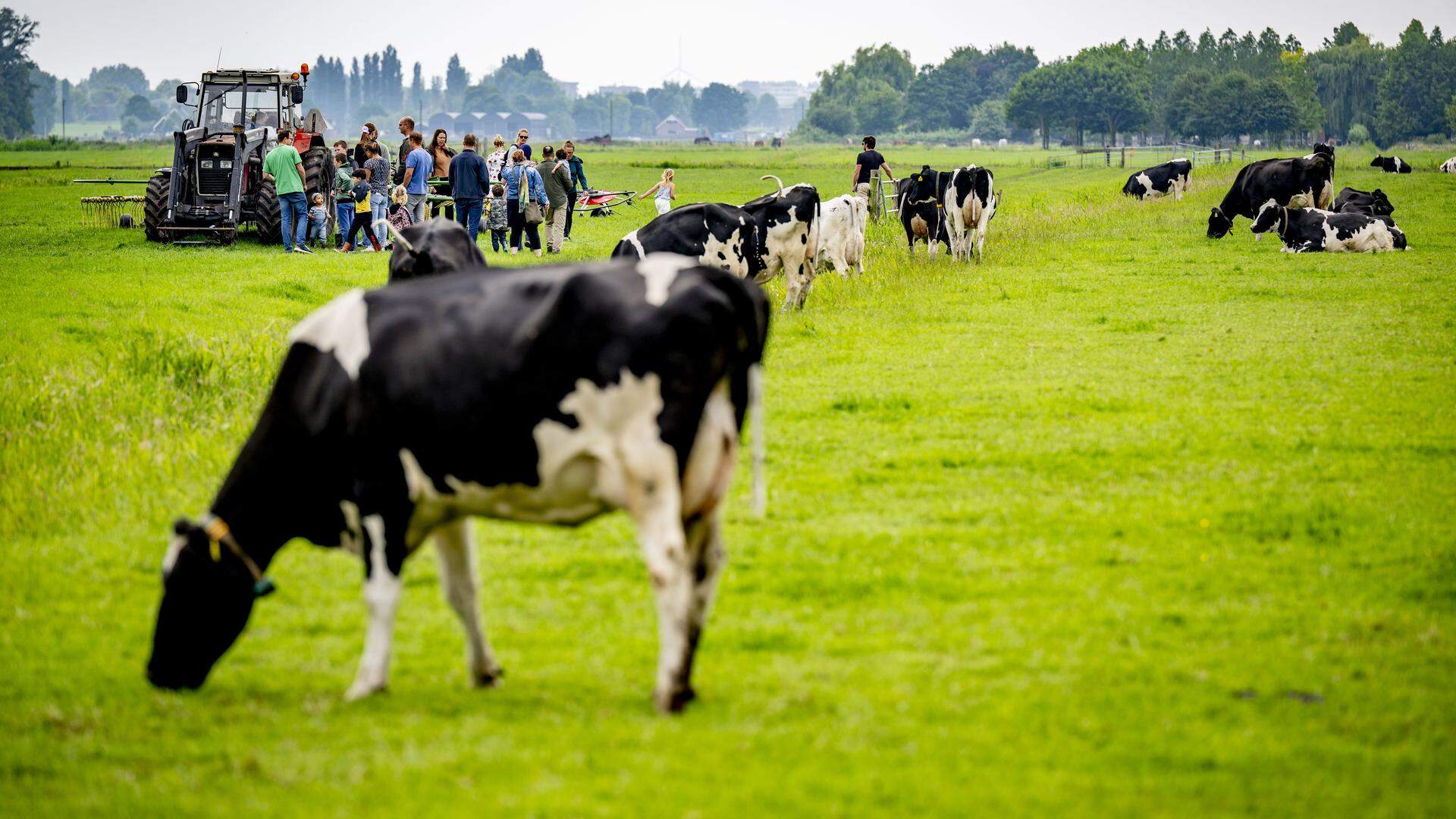 De bank raamt dat de structurele daling ook minder geld in het laatje brengt voor de Nederlandse economie. Toch is de daling slechts beperkt als het in perspectief geplaatst wordt. 