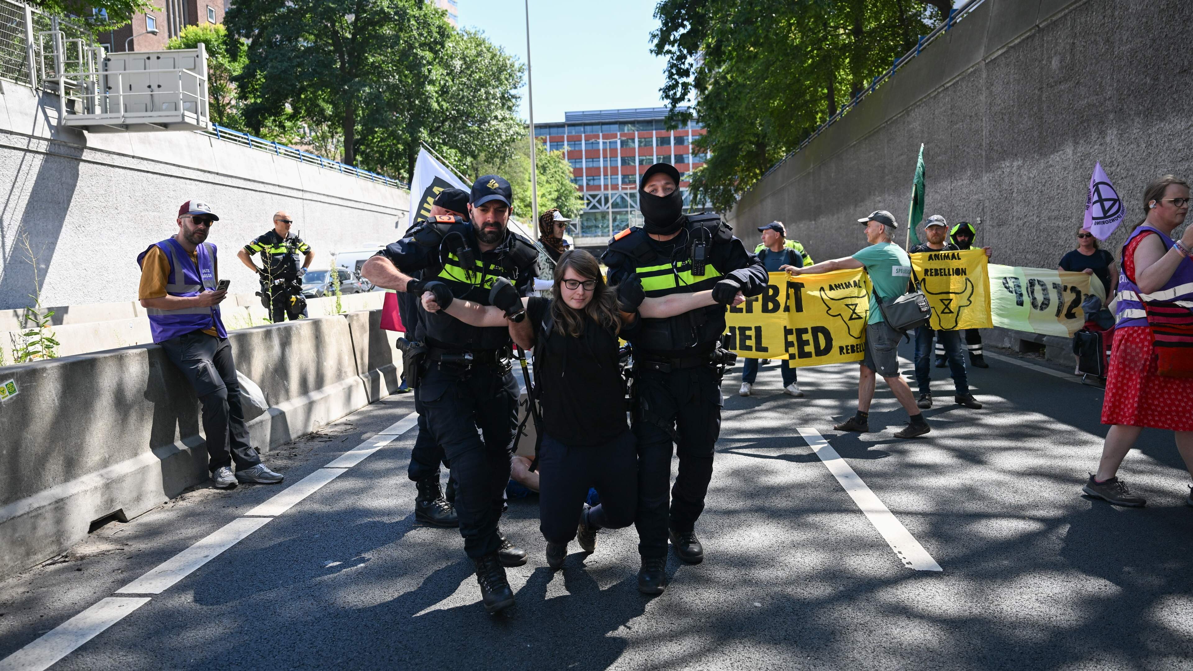 Extinction Rebellion blokkeert opnieuw toegang tot A12 in Den Haag