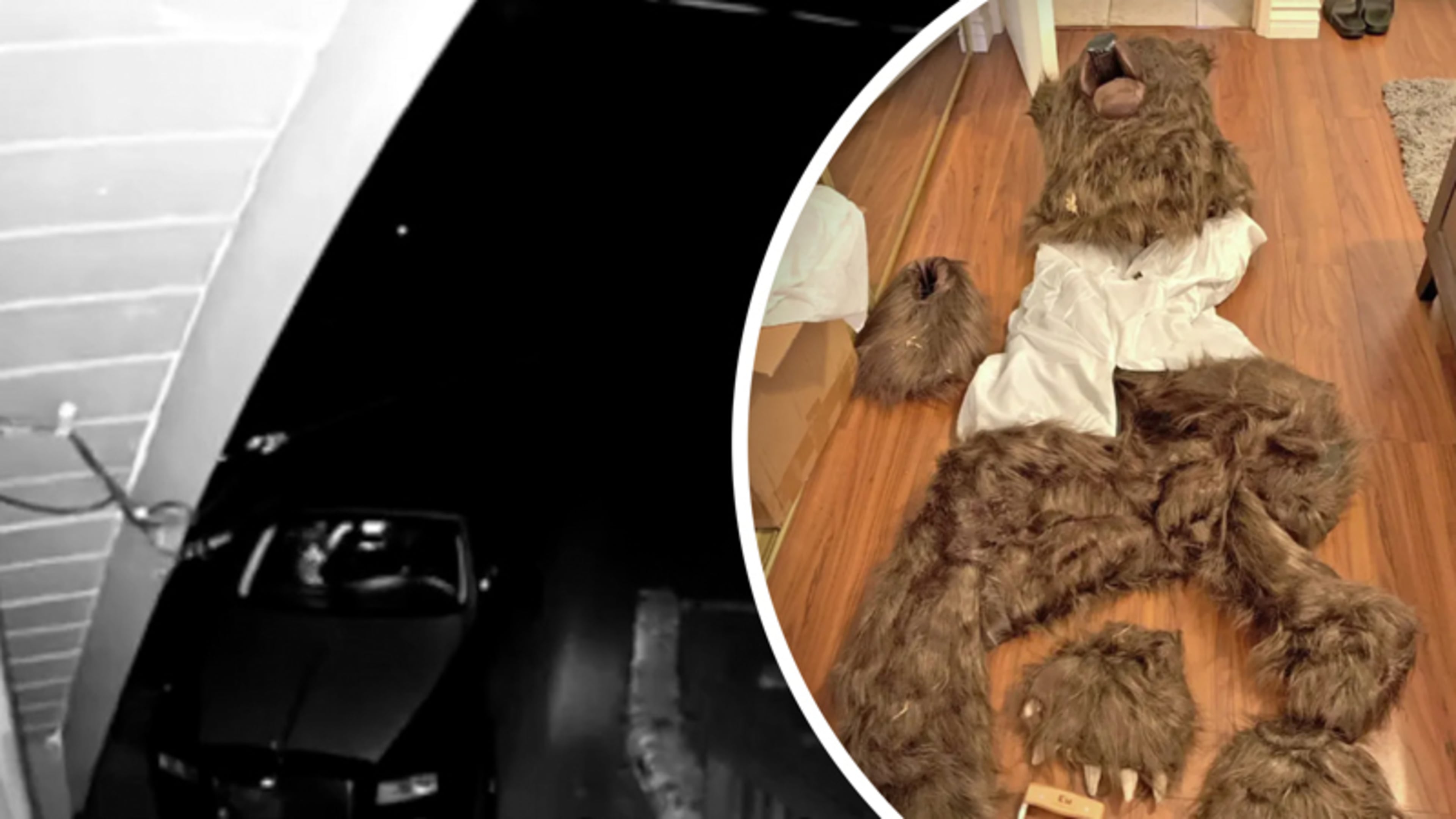 Groep mannen opgepakt voor bizarre oplichting met berenpak