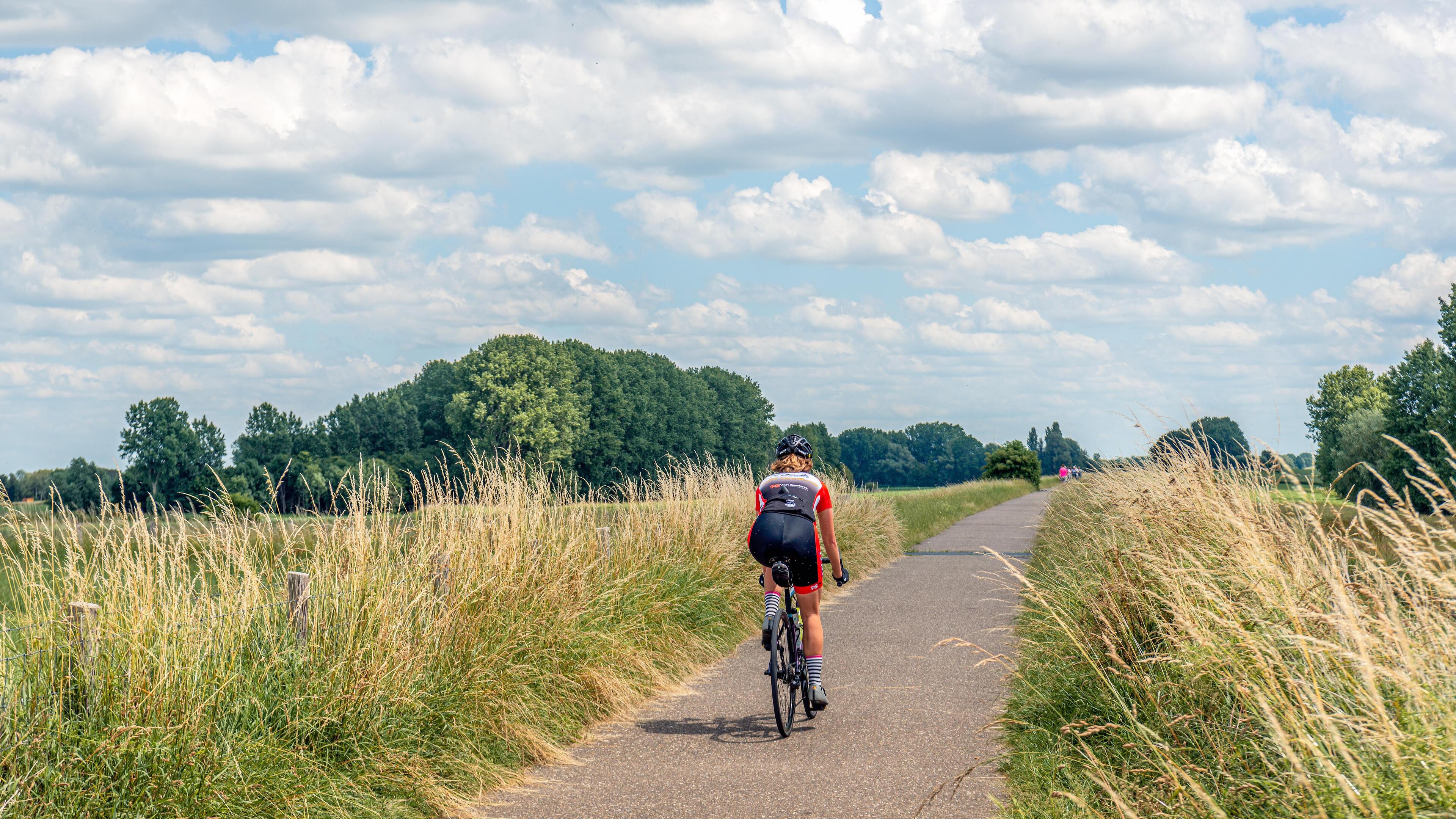 Wielrenster (37) overleden door aanrijding met auto in Vinkel
