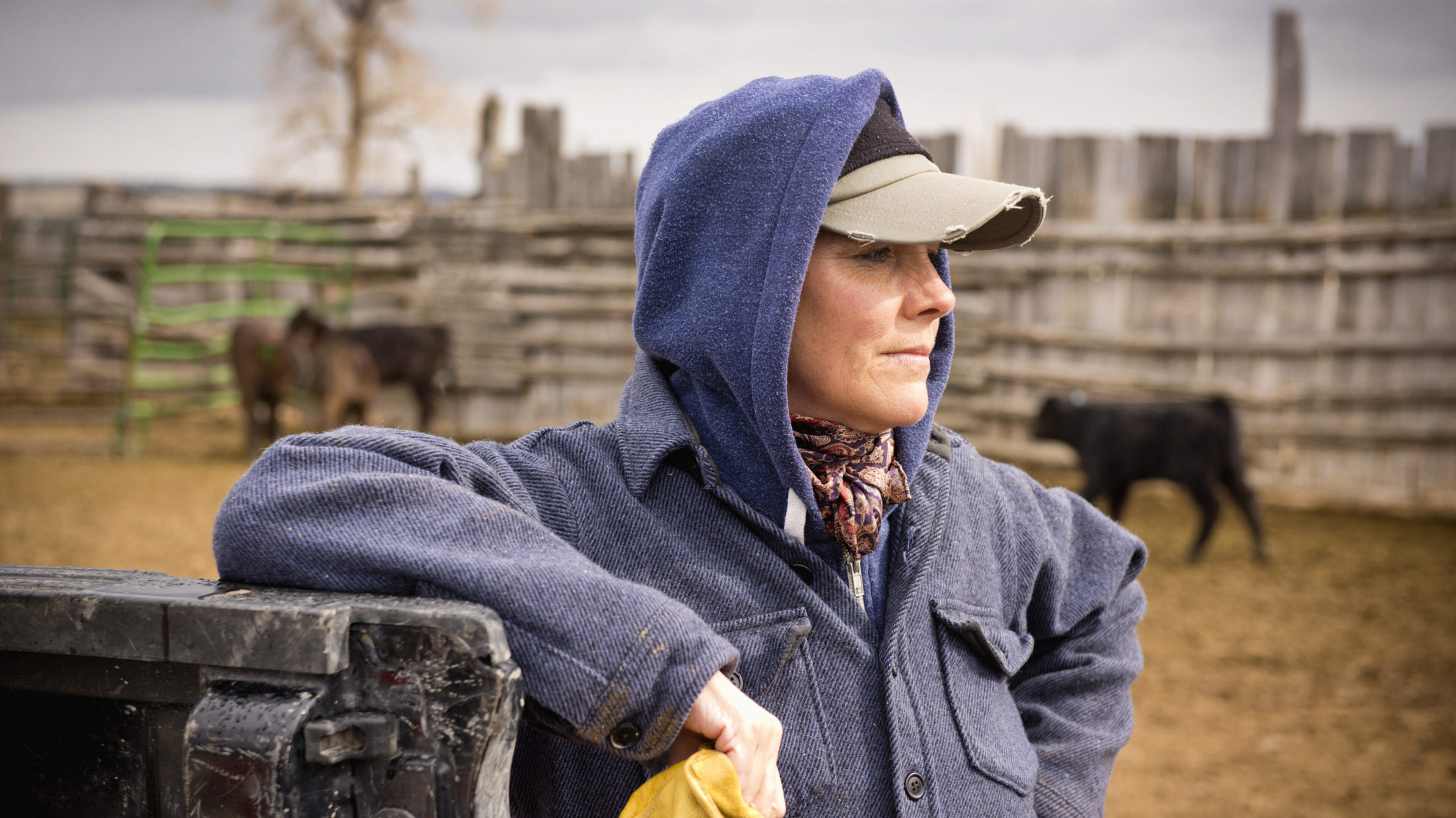 ’Jij bent onze toekomst, zegt mijn vader altijd trots, maar ik wil zijn boerderij niet overnemen’