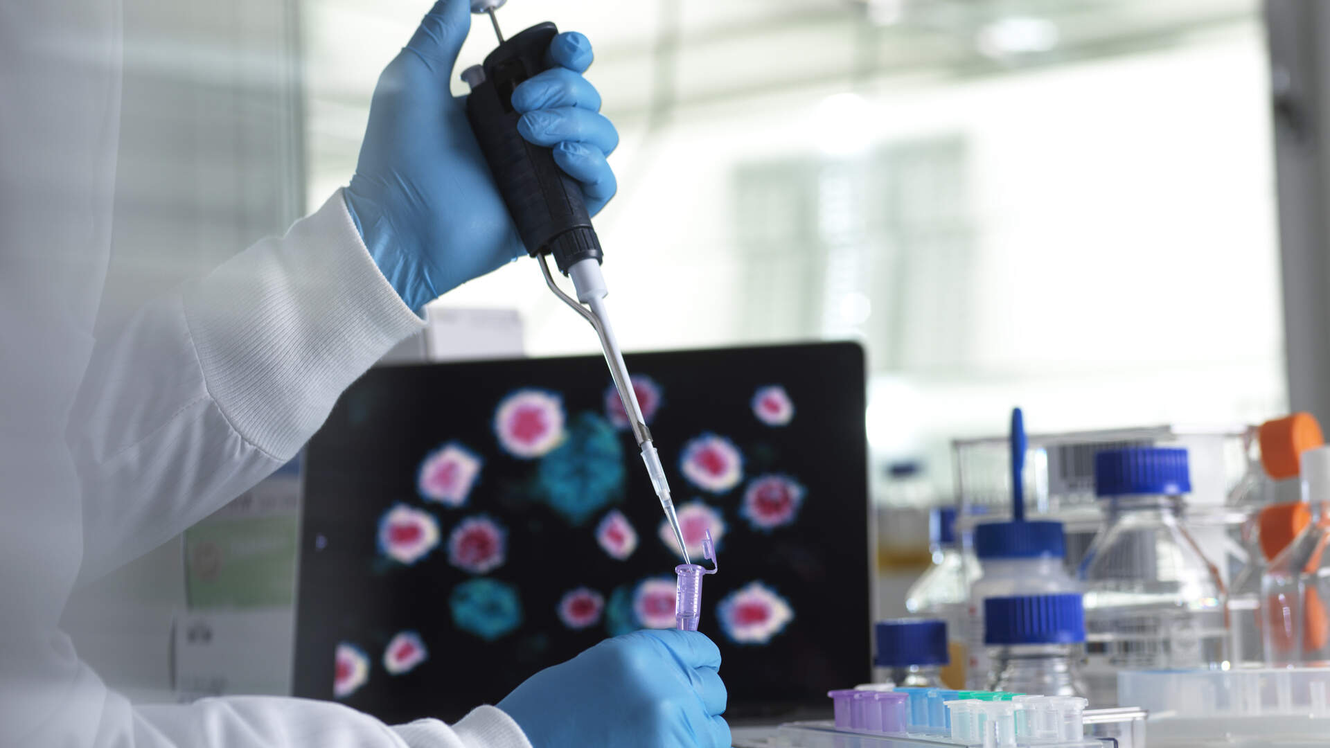 Number of medical studies in the Netherlands has fallen sharply