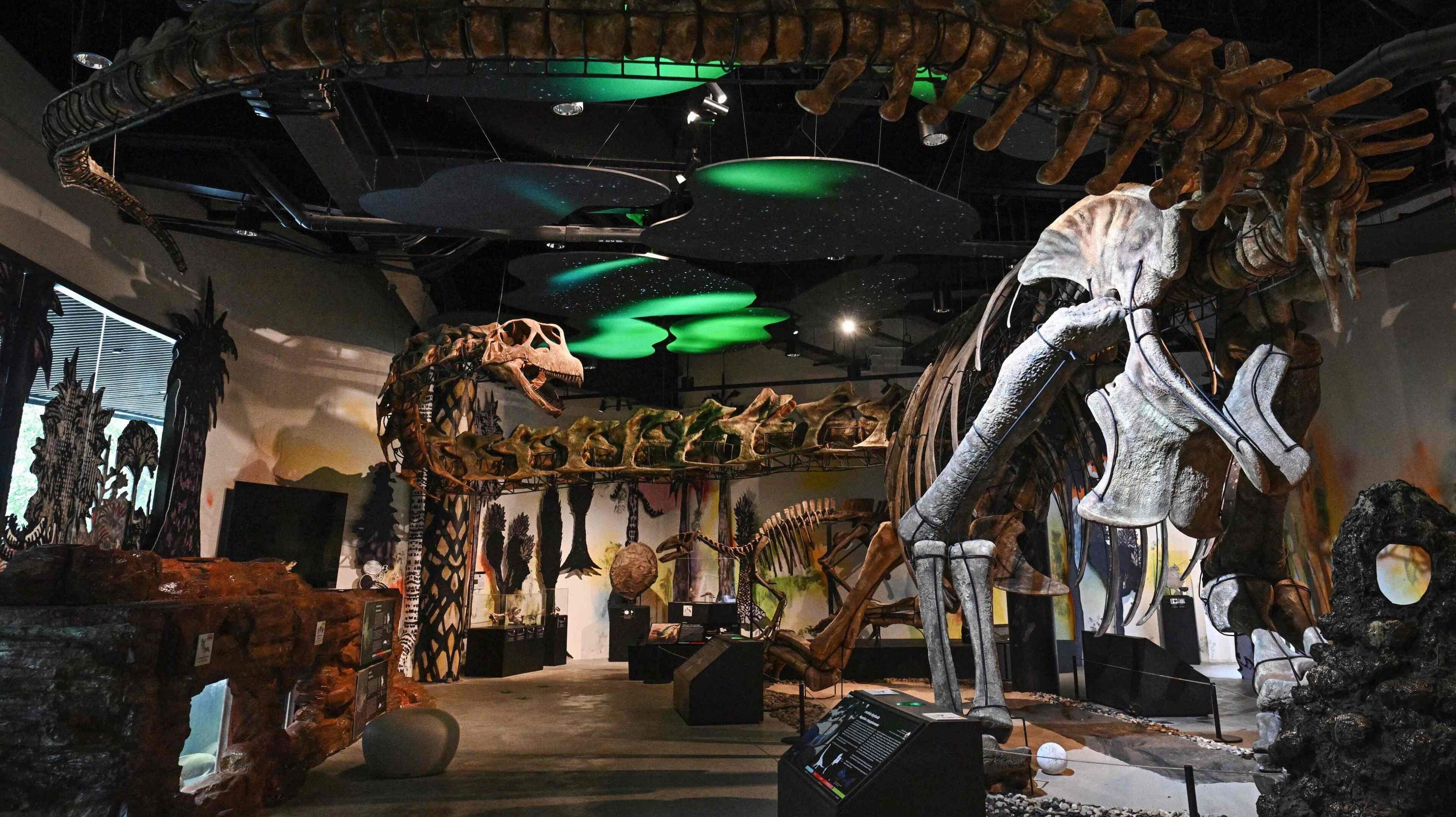 Onderzoekers ontdekken grootste plantenetende dinosaurus met lange nek die ooit in Zuidoost-Azië heeft geleefd