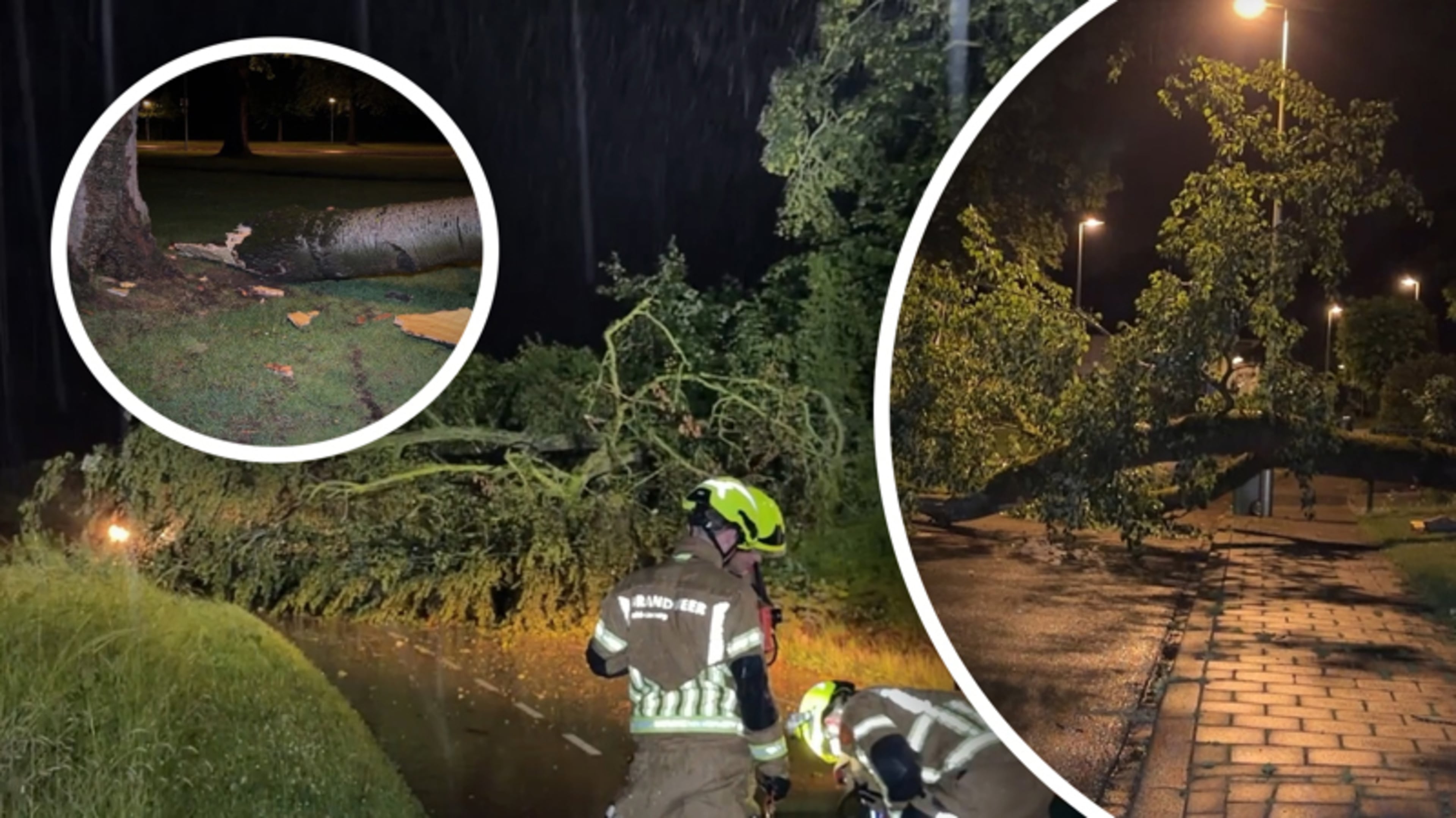 Beelden van stormschade in Limburg: meerdere bomen op de weg