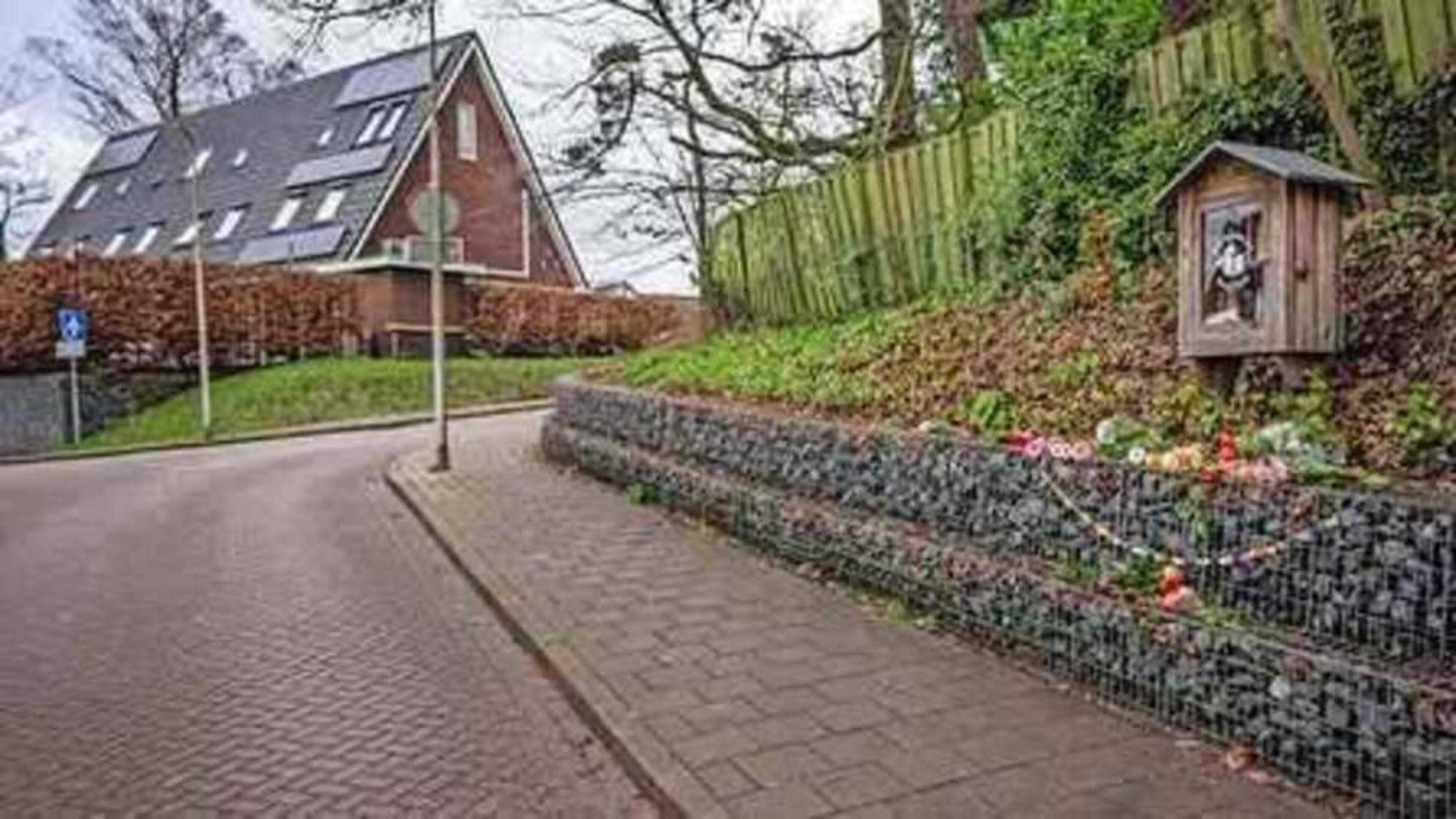 Acht jaar cel en tbs voor doodsteken vrouw (76) Den Dolder