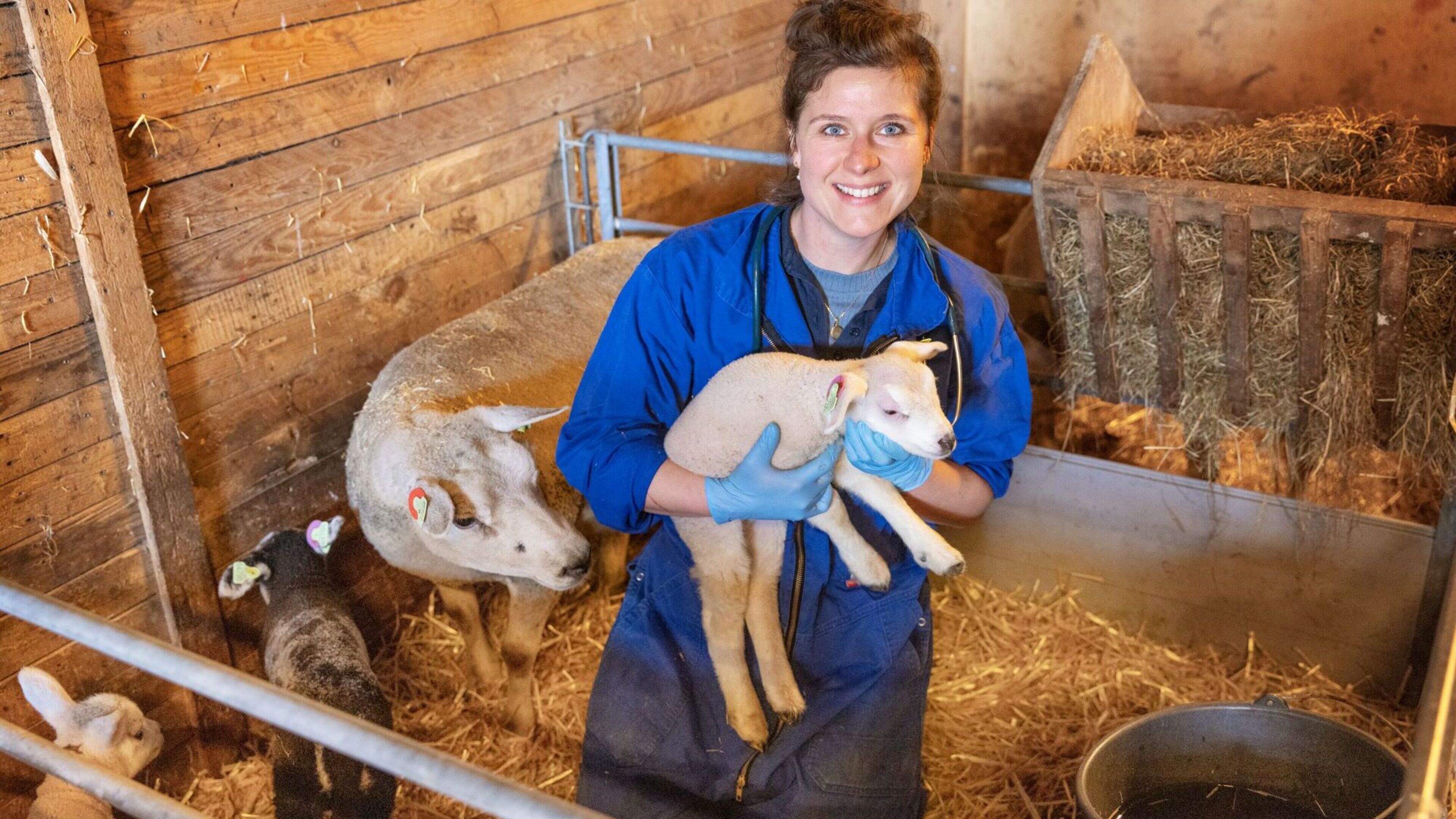 Lilian (30) is veearts: ’Ik heb moeten leren dat ik niet elk dier kan redden’