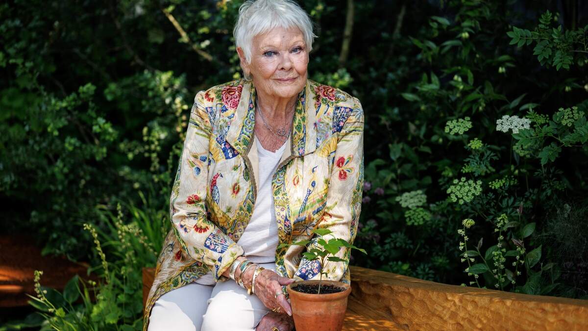 ジュディ・デンチさん（90）は、目の病気黄斑変性症のため、もう誰も認識できません
