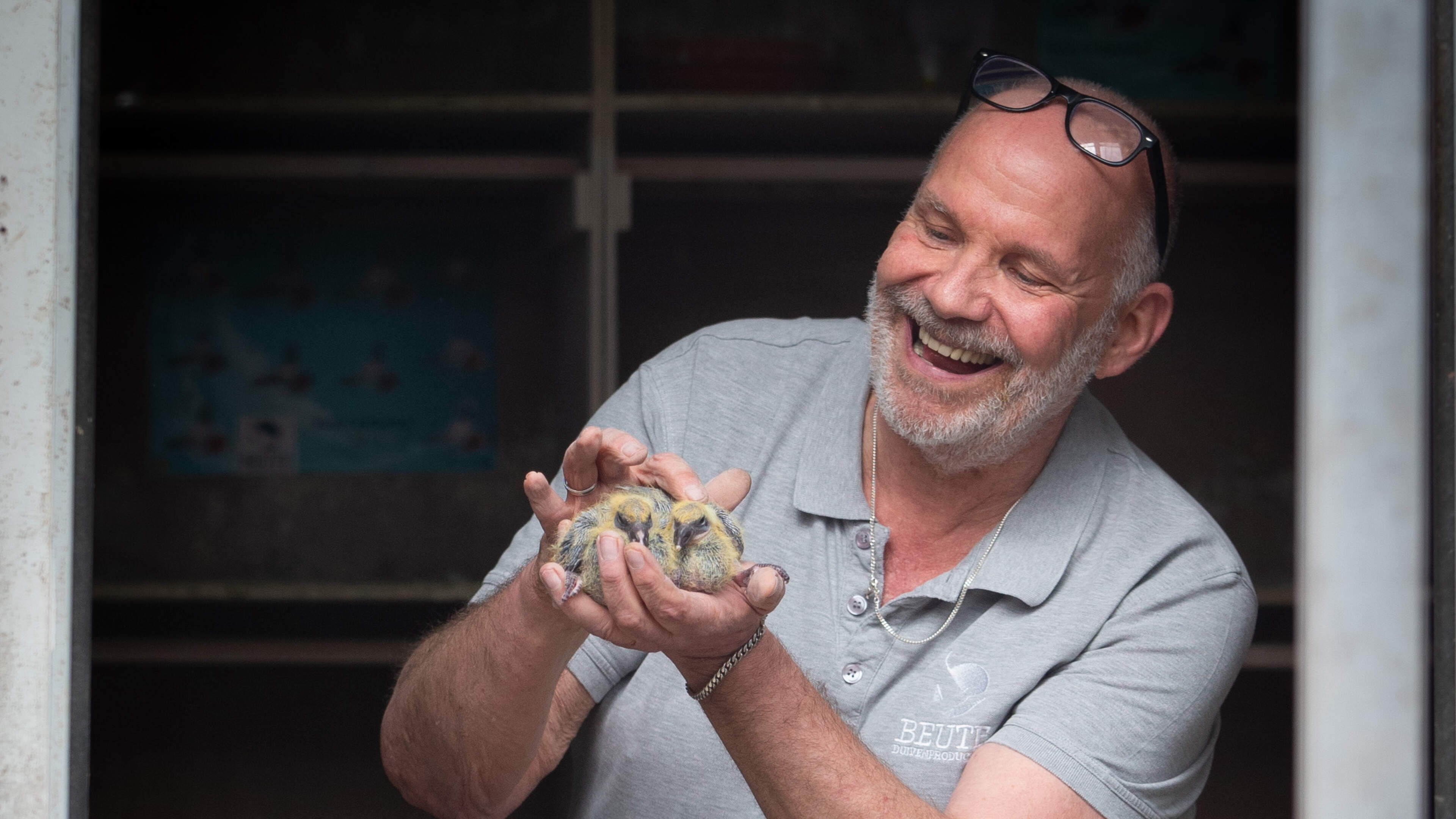 Vliegverbod wegens vogelgriep onmiddellijk opgeheven: ’De lucht in met die duiven’