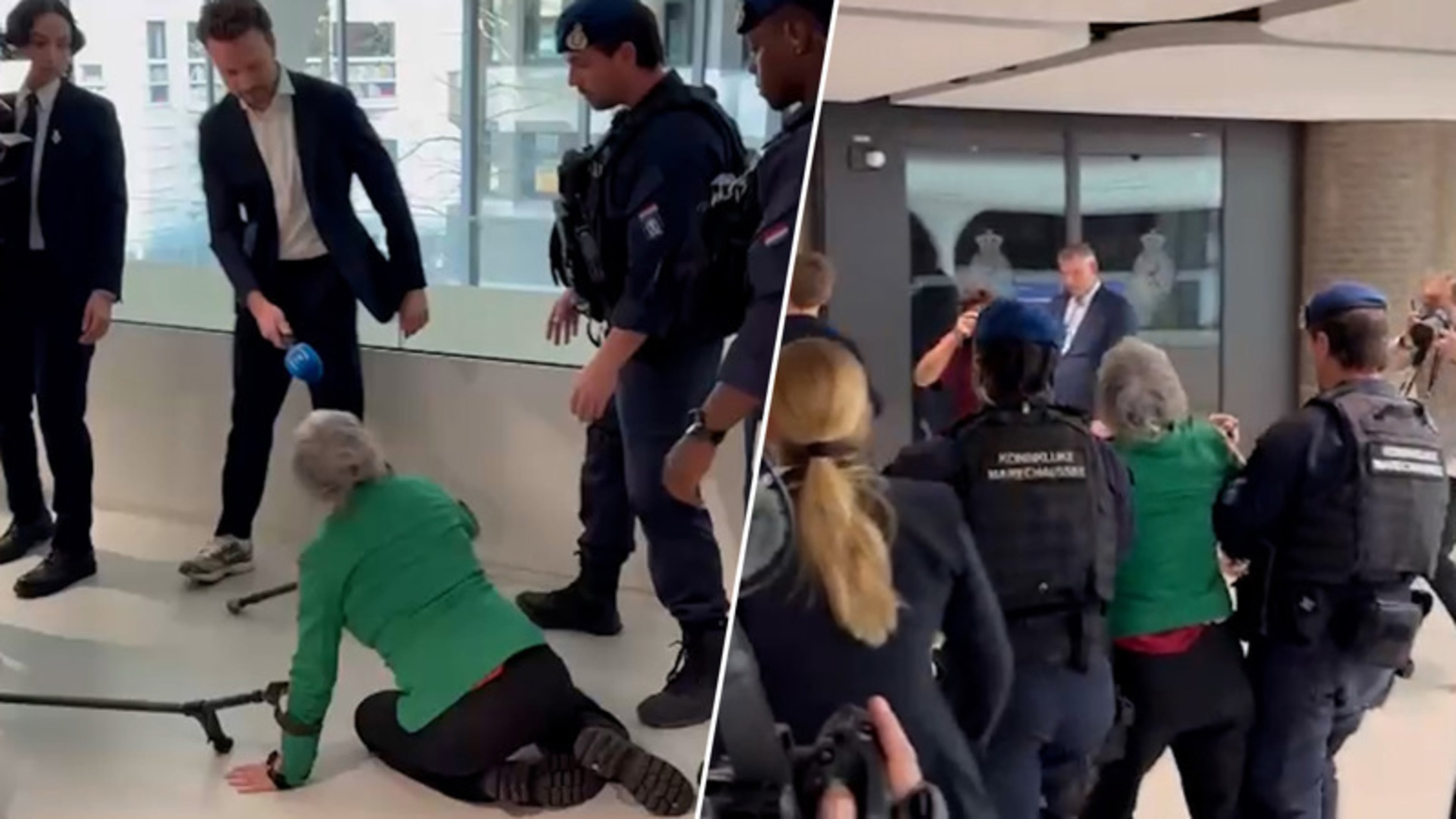 Zien: zo worden demonstranten weggewerkt uit Tweede Kamer