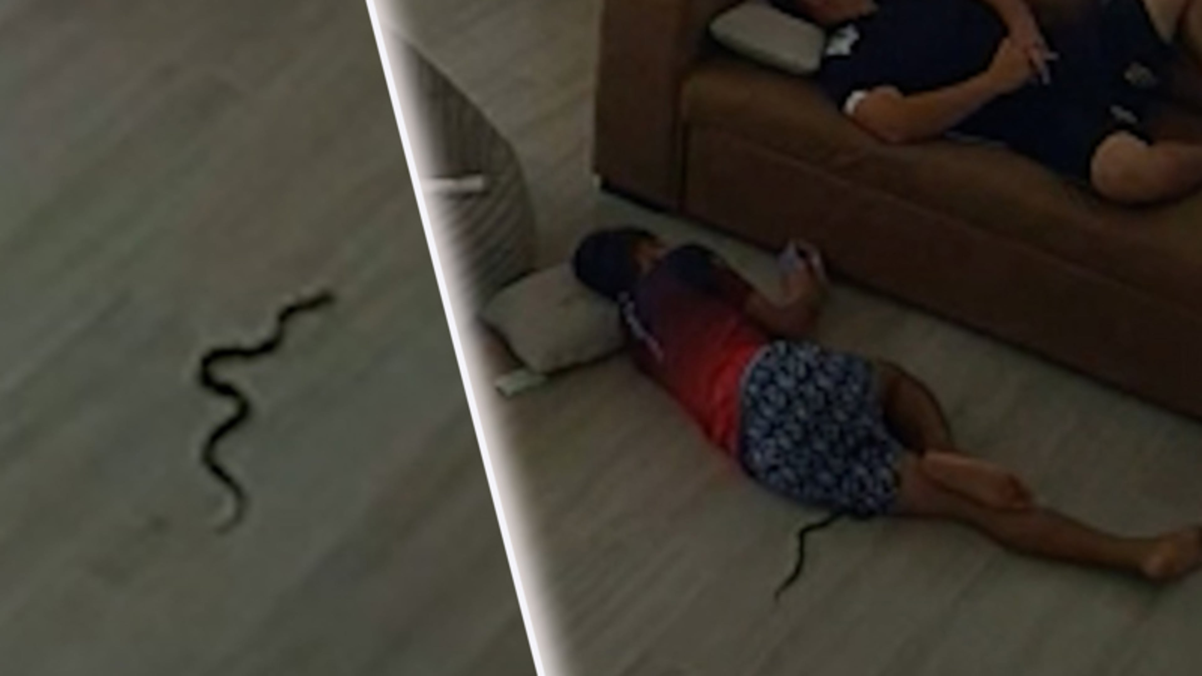 Jongen krijgt schrik van zijn leven als cobra over zijn been kruipt