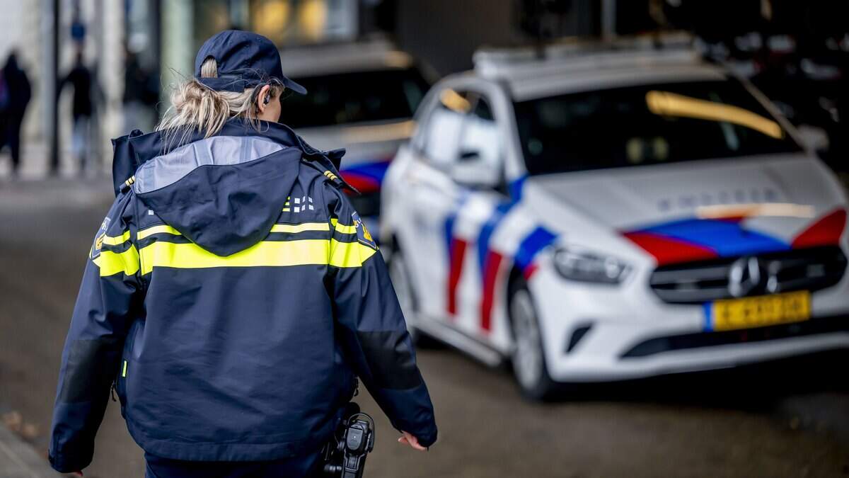デンボッシュの自治体は、すべてのシリアの迷惑加害者と話をしました