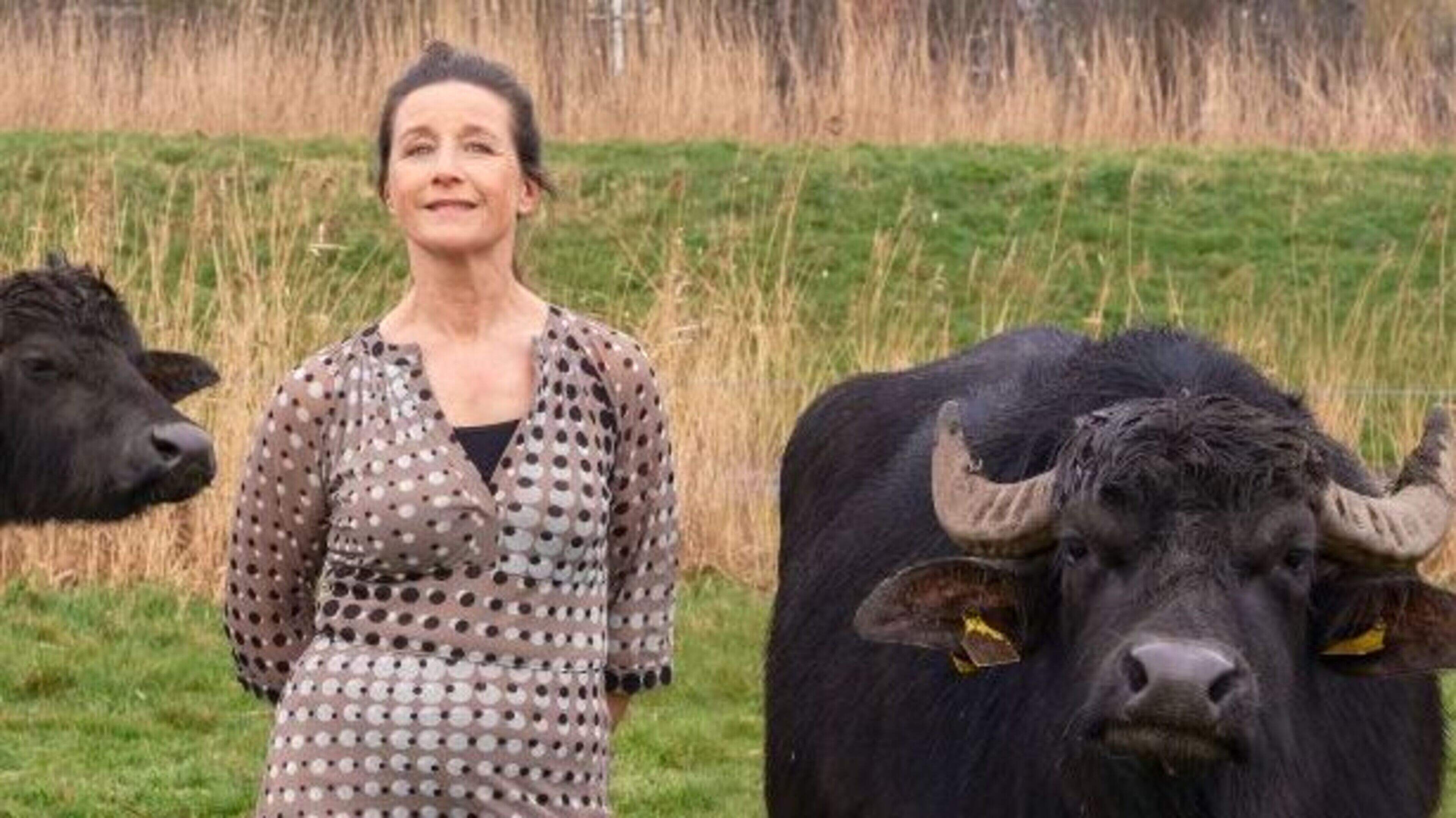 Josine (49) is waterbuffelboerin: ’Ik moest met mijn goeie jurk aan de sloot in springen om de dieren terug te halen’