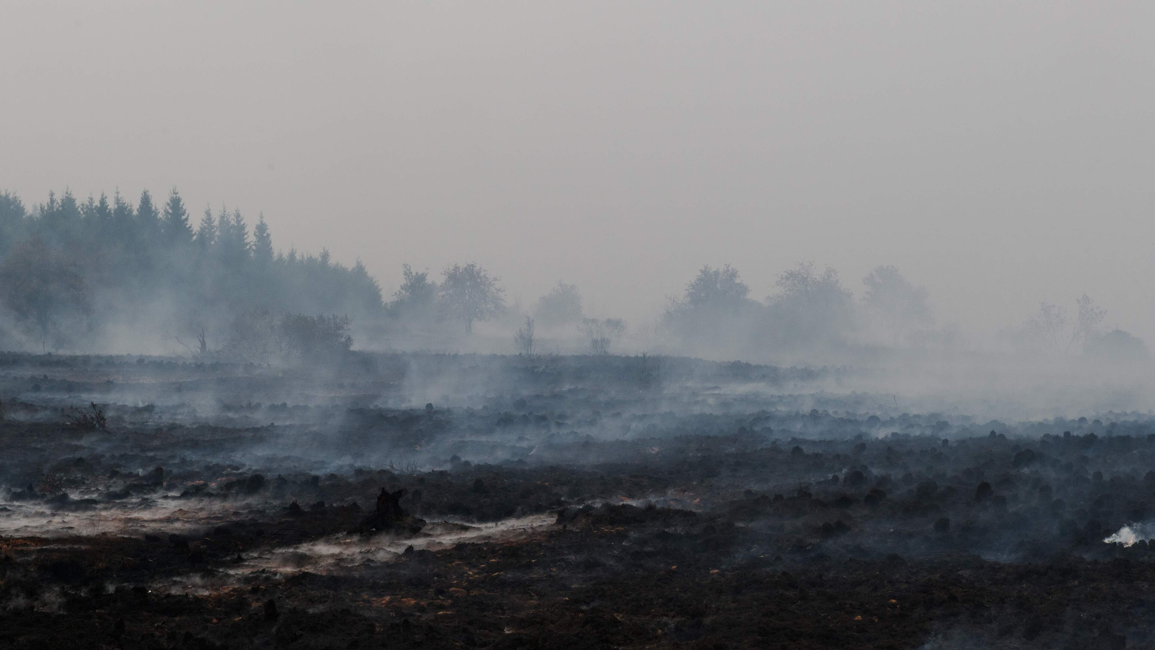 LIVE | Duitse en Noorse helikopters ondersteunen bij natuurbrand België
