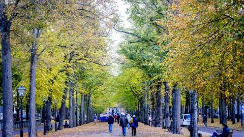 Met temperaturen tussen 12 en 15 graden is het opvallend zacht voor begin november.