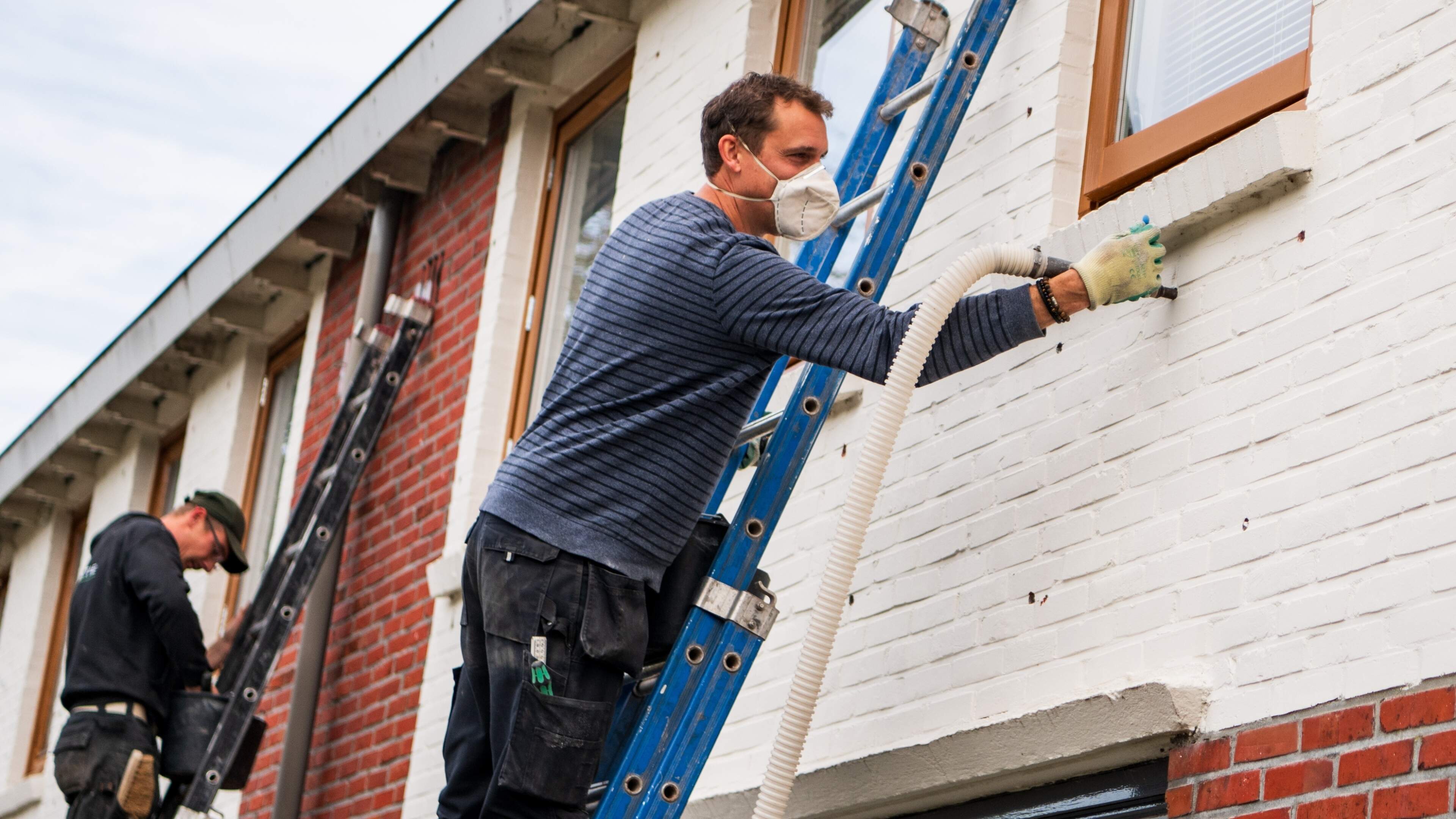 Isolatiebedrijven in nood: ’Vleermuis-regels halveren markt en jagen mkb richting faillissement’