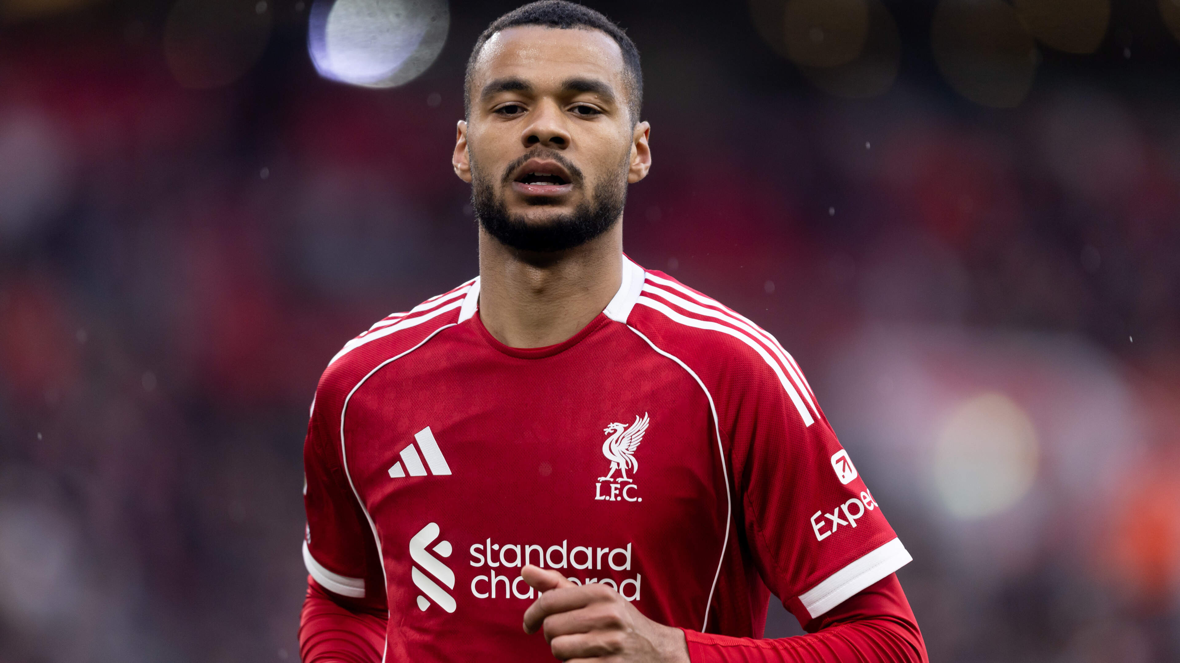 LIVE Premier League: arbiter zet streep door Liverpool-penalty na tussenkomst VAR, Tottenham vecht tegen degradatie