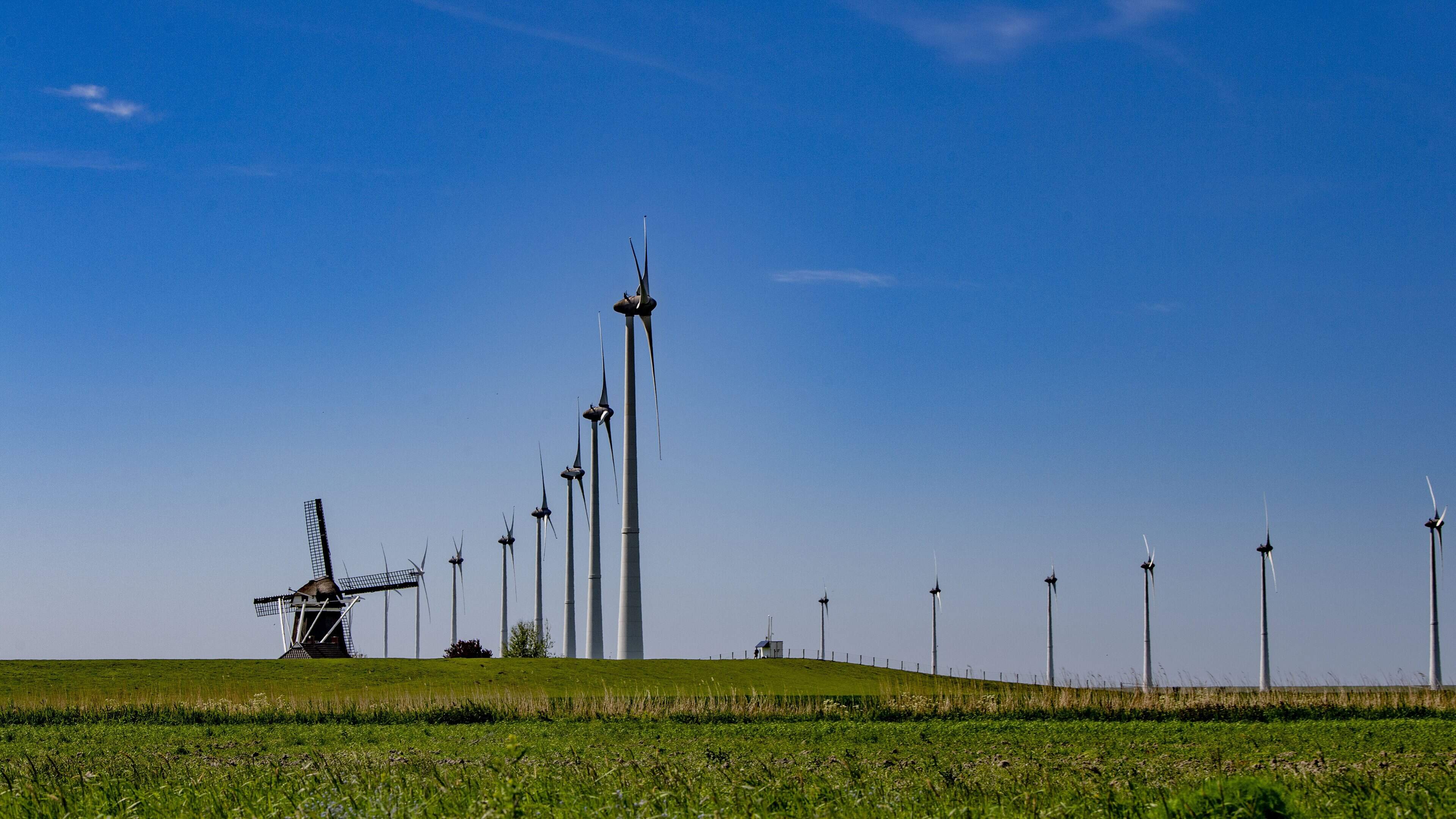 Energiecoöperaties winnen zaken bij waakhond ACM: ’Het stroo