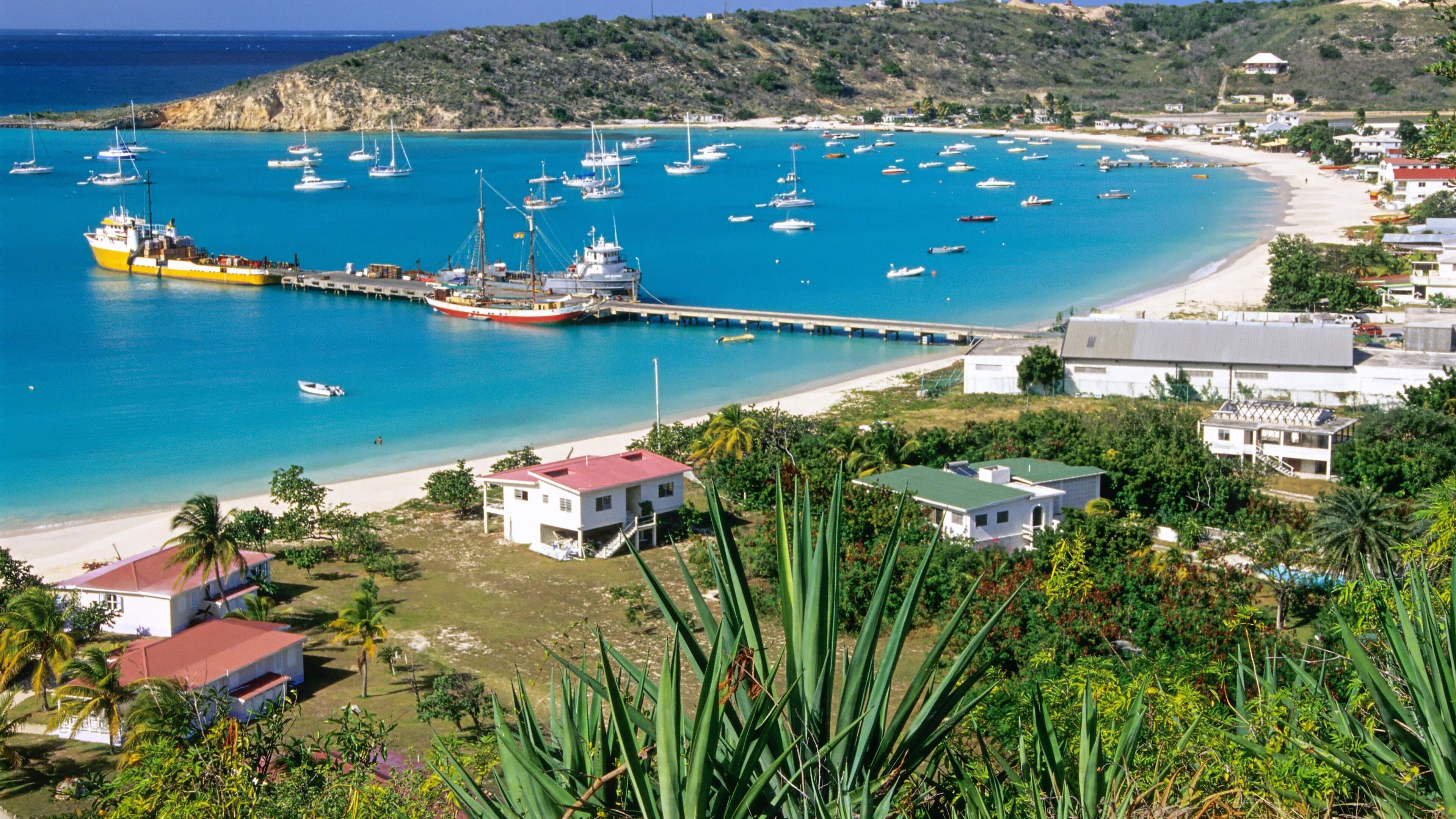 Jackpot voor piepklein Caribisch eiland Anguilla: elk jaar stroomt 100 miljoen euro binnen dankzij één simpel mailtje van 30 jaar geleden