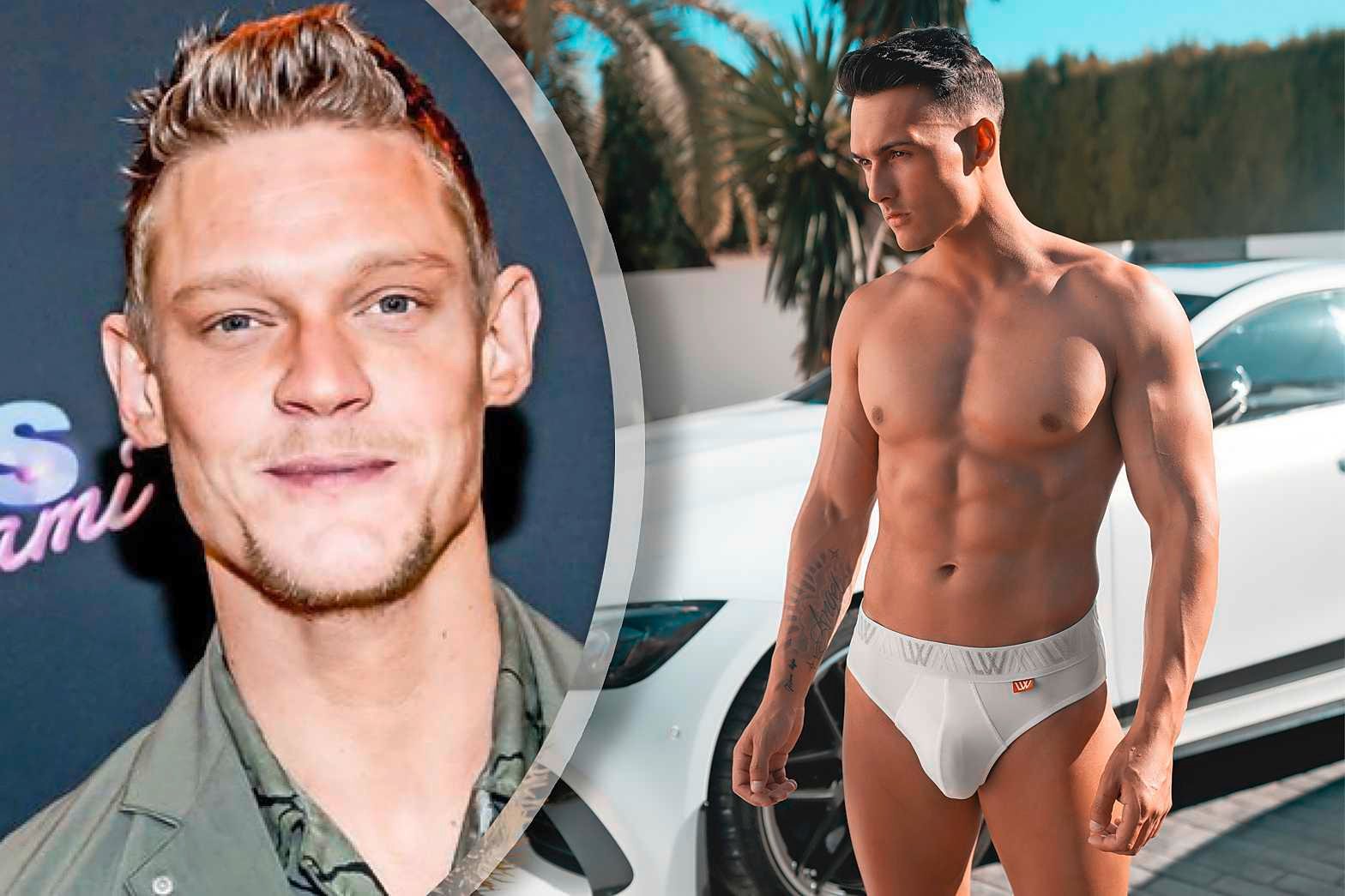 Levy van wilgen video