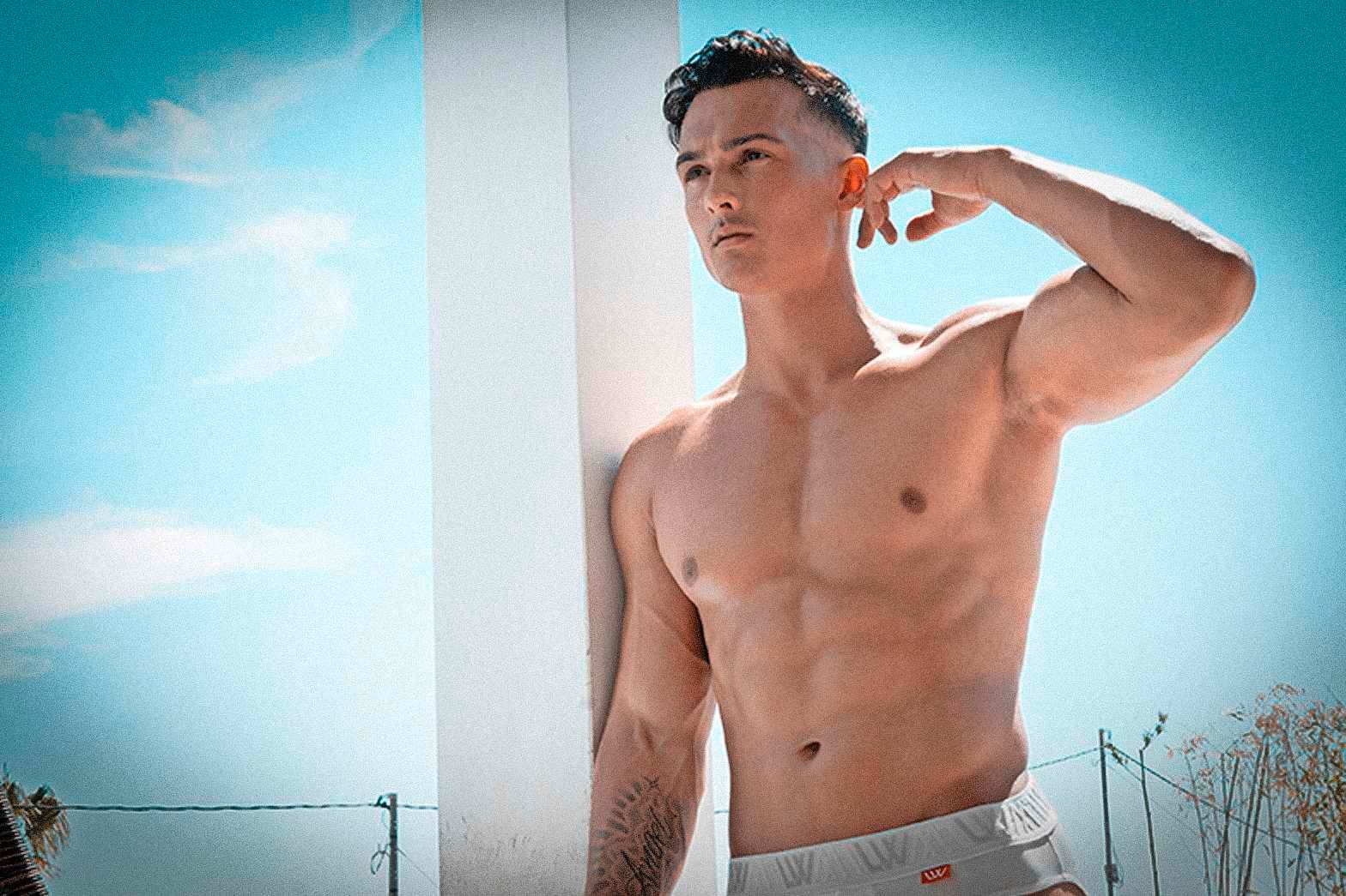 Levy van wilgen video