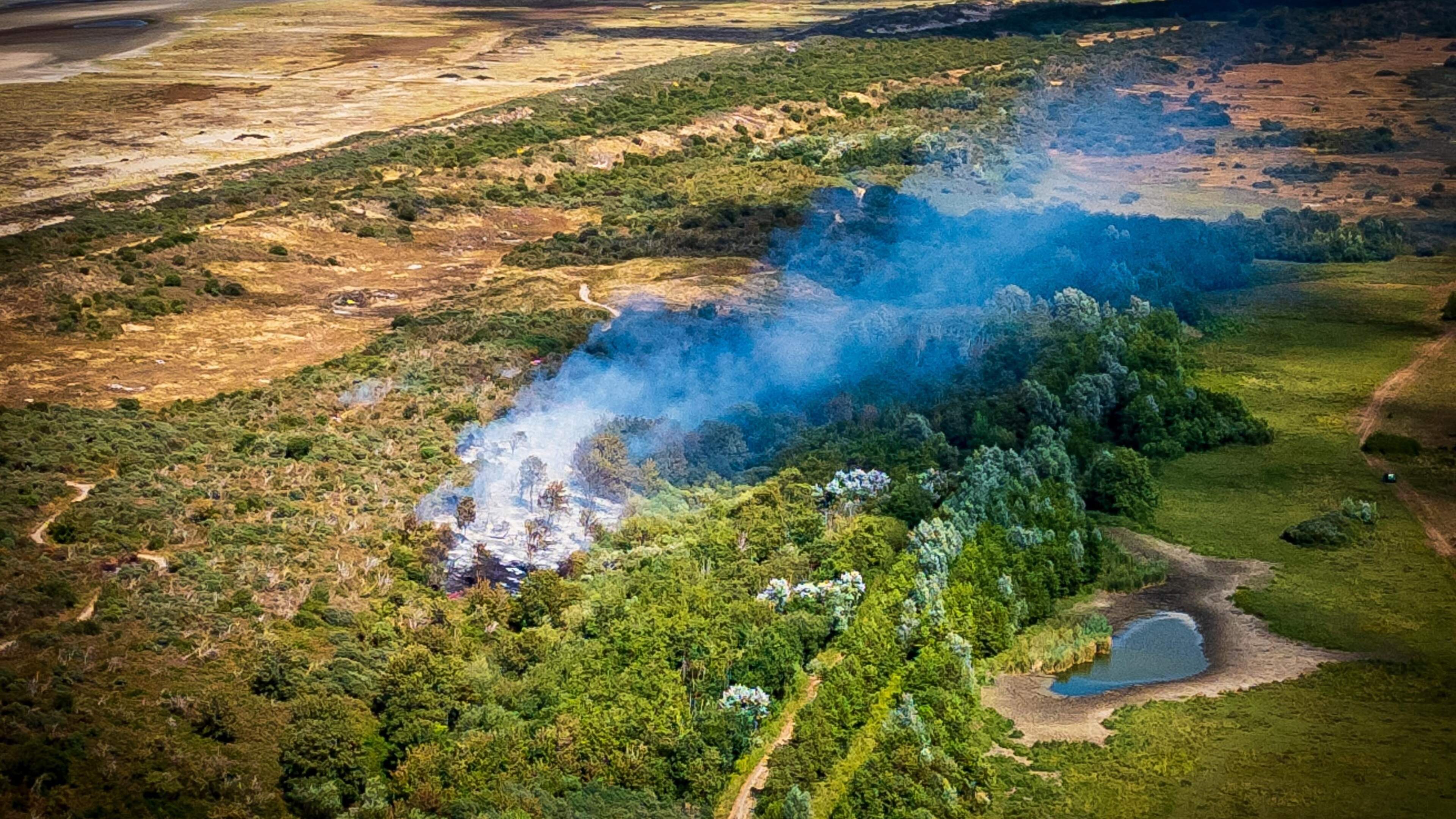 Brandweerman die onder voertuig terechtkwam bij duinbrand Ouddorp overleden: ’Diep gat in ons brandweerhart’