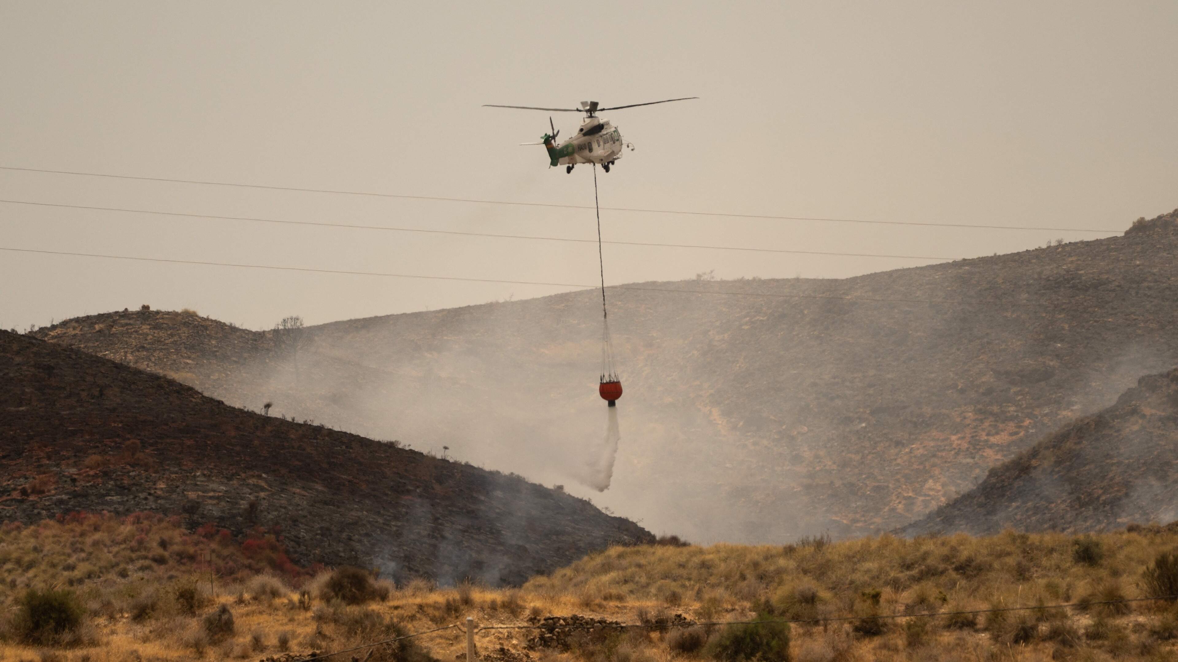 LIVE | Alarmniveau in Andalusië omlaag: brandweer heeft dodelijke bosbrand onder controle