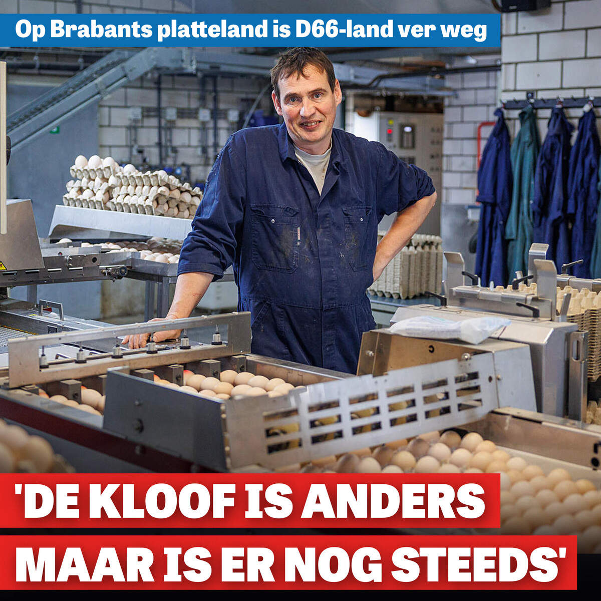 In de Peel is D66-land ver weg, kippenboer Frank Rooijakkers hoopt dat Jetten bijdraait in de stikstofcrisis: ’Het kan wél!’