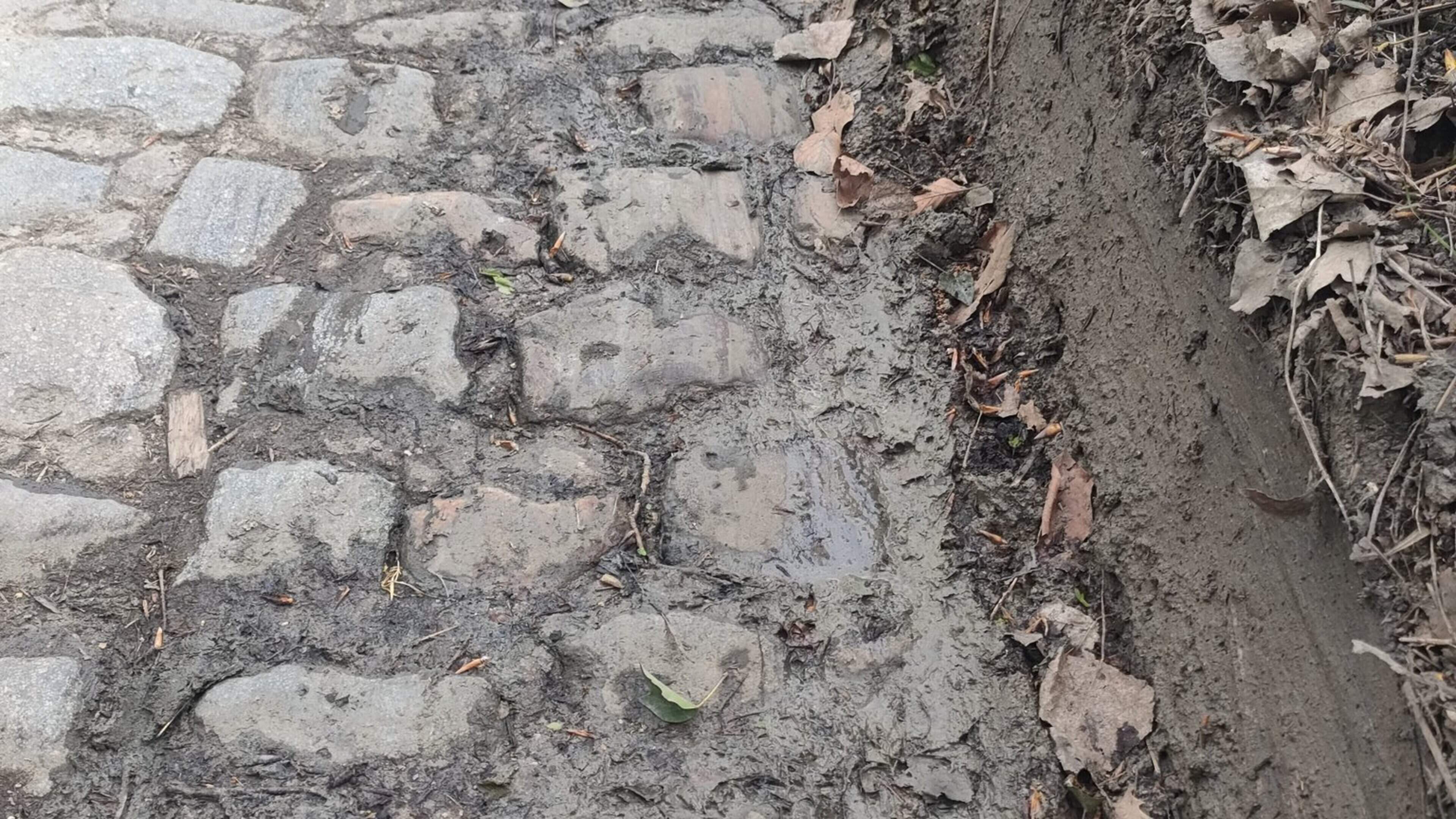 Renners worstelen tijdens verkenning op glibberige Koppenberg na botsing vrachtwagen vol met toiletten
