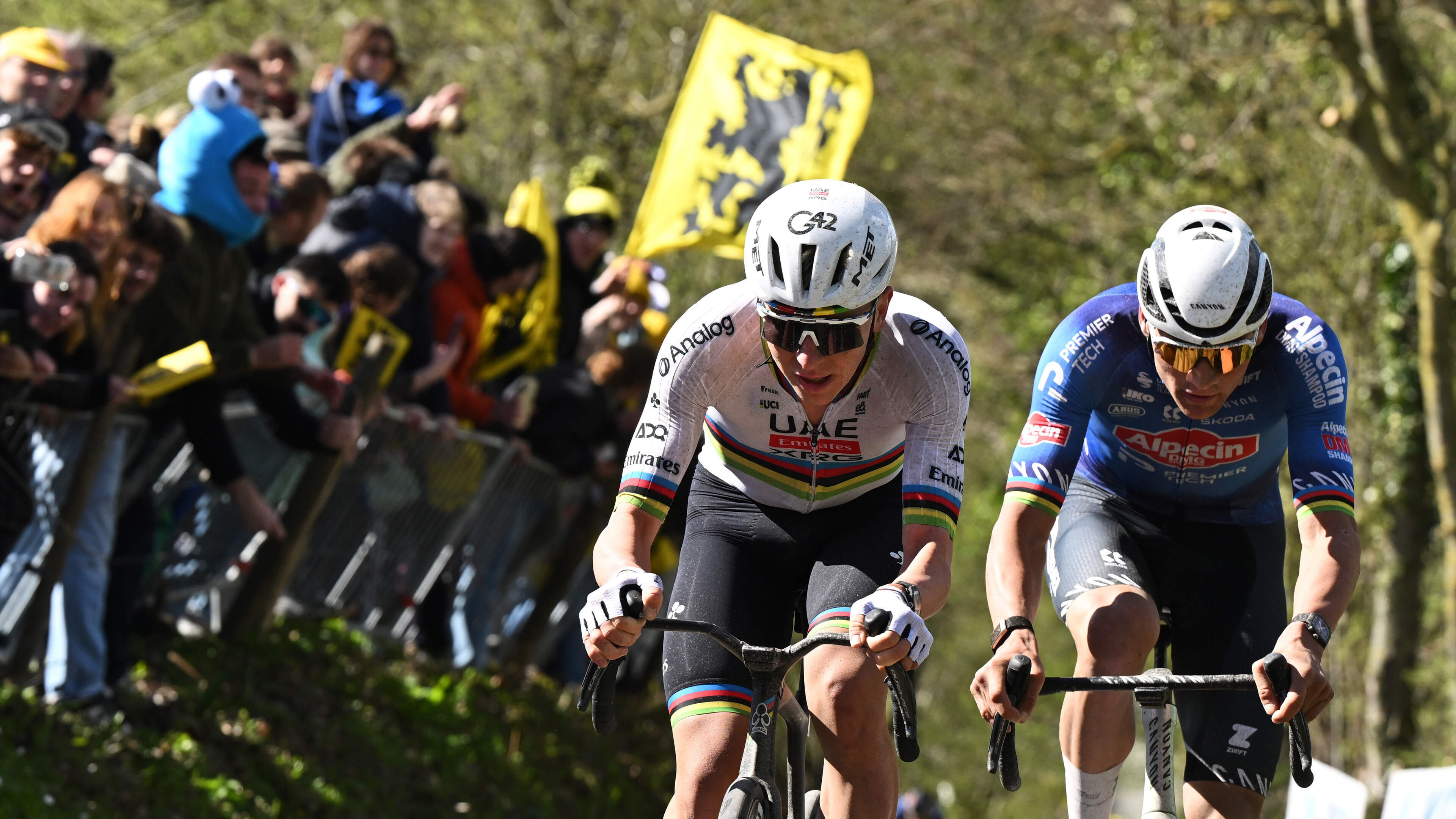 Tadej Pogacar rekent af met Mathieu van der Poel en schrijft voor derde keer Ronde van Vlaanderen op zijn naam