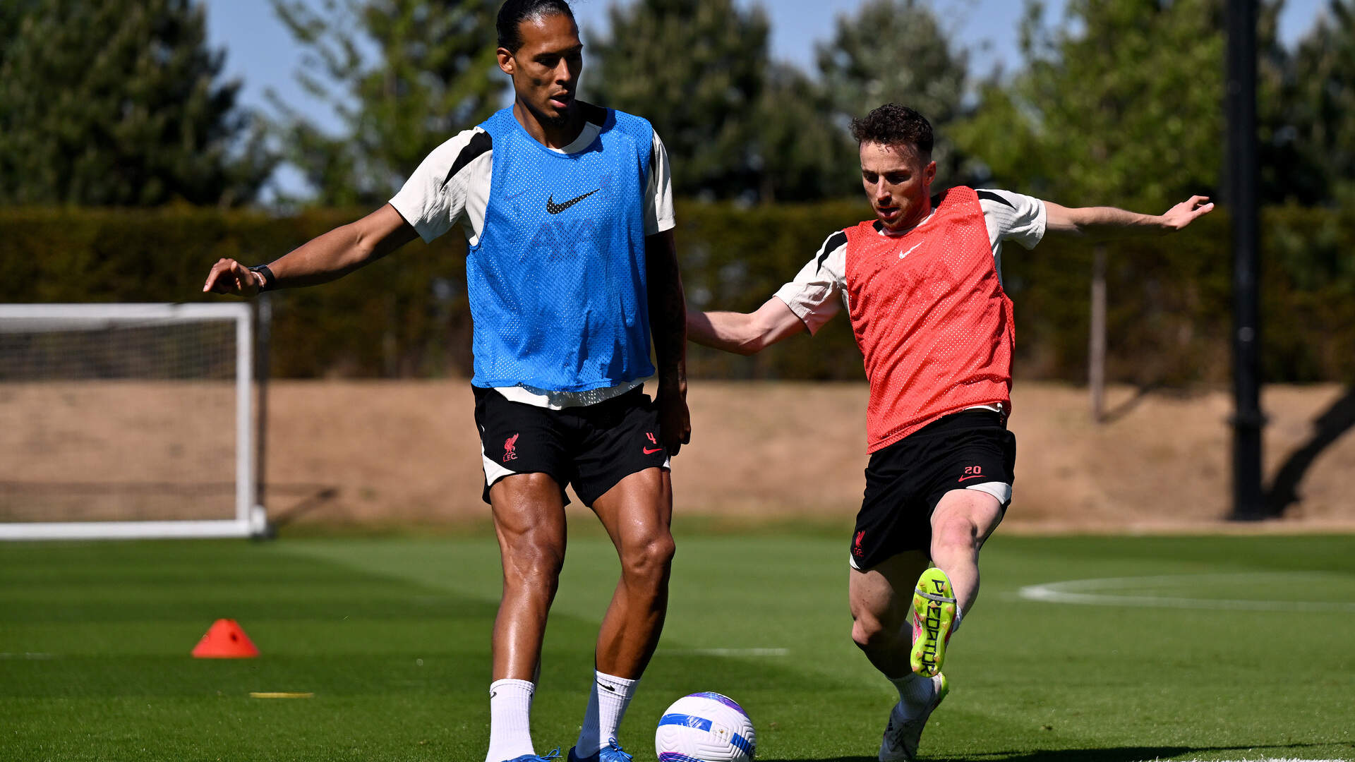 Diogo Jota and Virgil van Dijk.